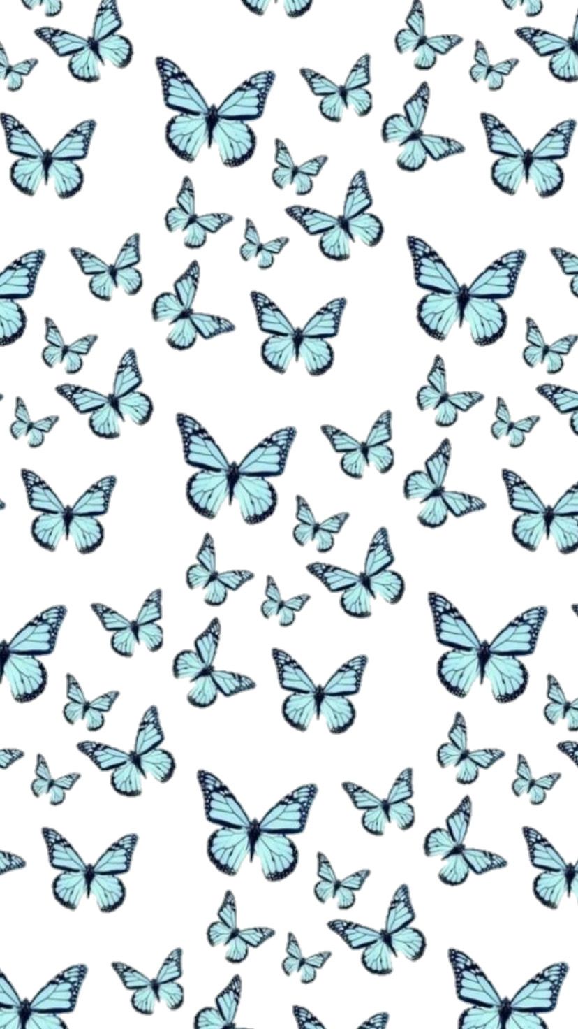 Butterflies wallpaper blue. Butterfly wallpaper, Aesthetic wallpaper, Butterfly print pattern