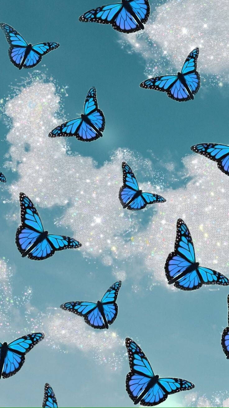 Download Simple Blue Aesthetic Butterflies Wallpaper