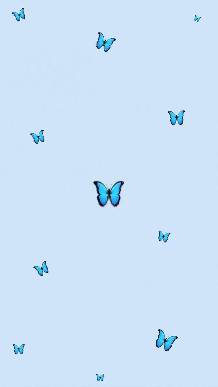 Download Aesthetic Baby Blue Butterflies Wallpaper