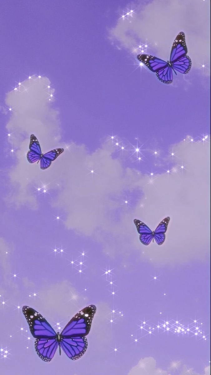 HD aesthetic butterfly wallpapers  Peakpx