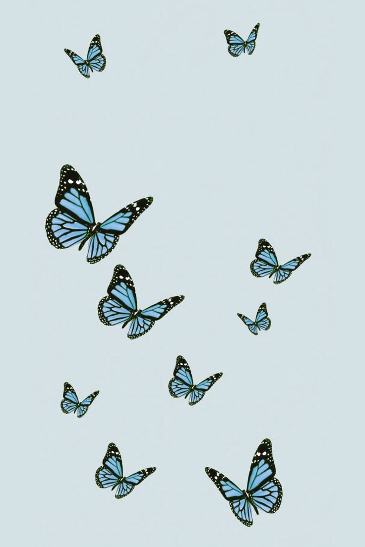 Blue butterfly wallpaper, Butterfly wallpaper iphone, Blue aesthetic pastel