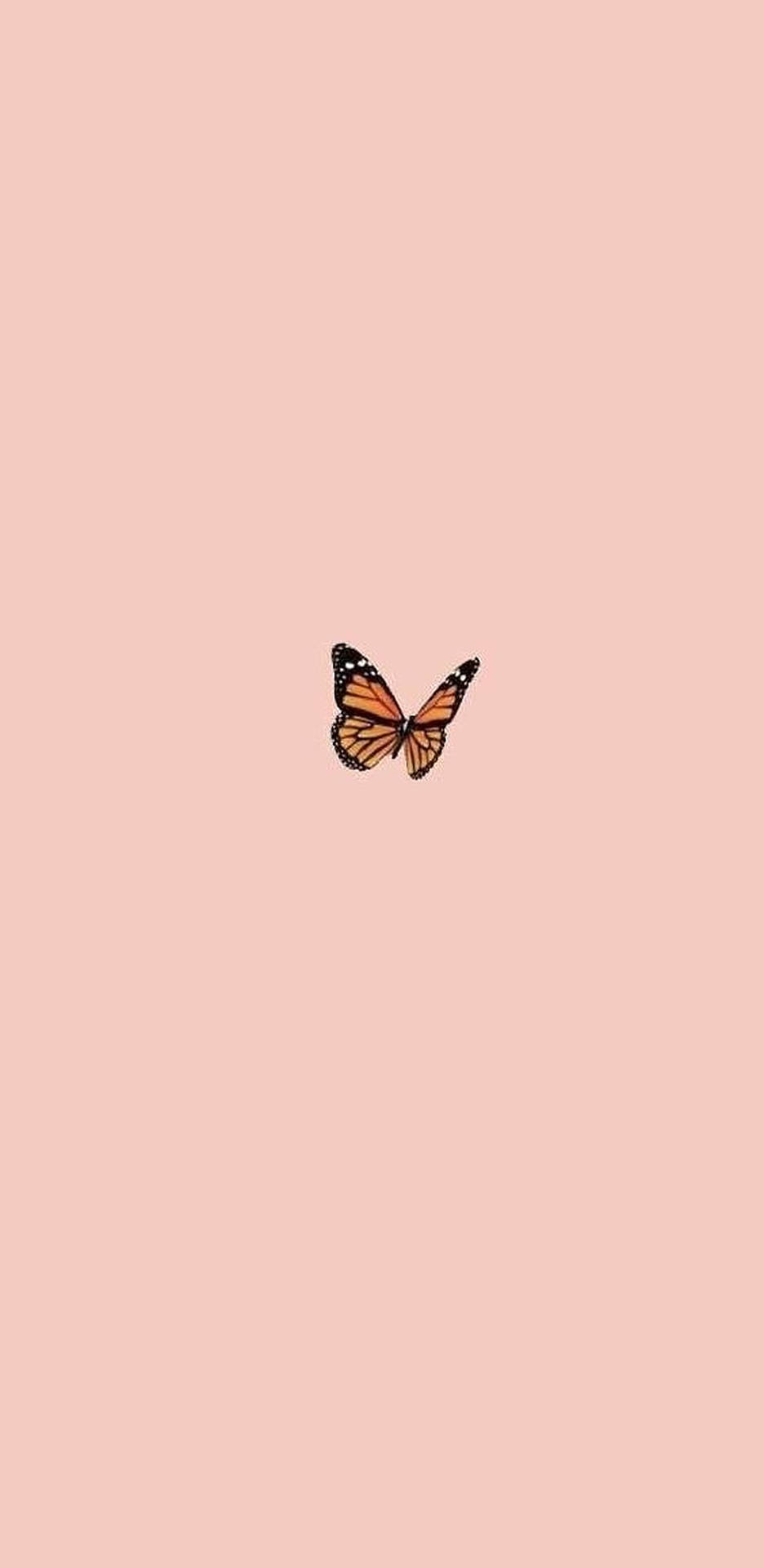 Download iPhone Aesthetic Butterfly Wallpaper