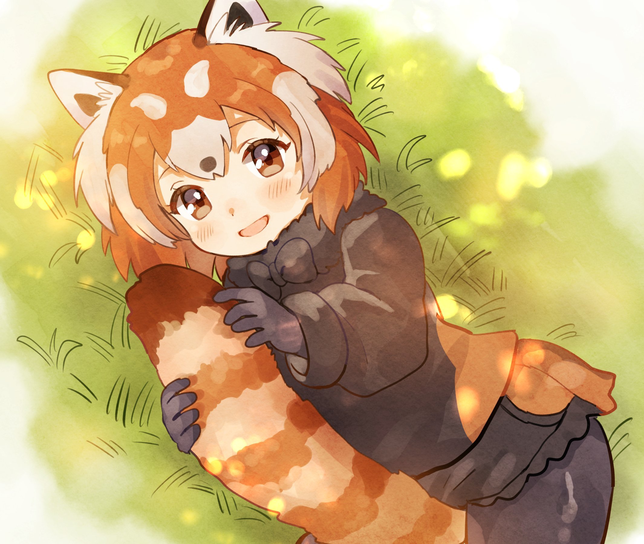 Red Panda By Toru Sanogawa Cute Idea For A Tattoo Kawaii Anime Red Panda  PNG Image With Transparent Background  TOPpng