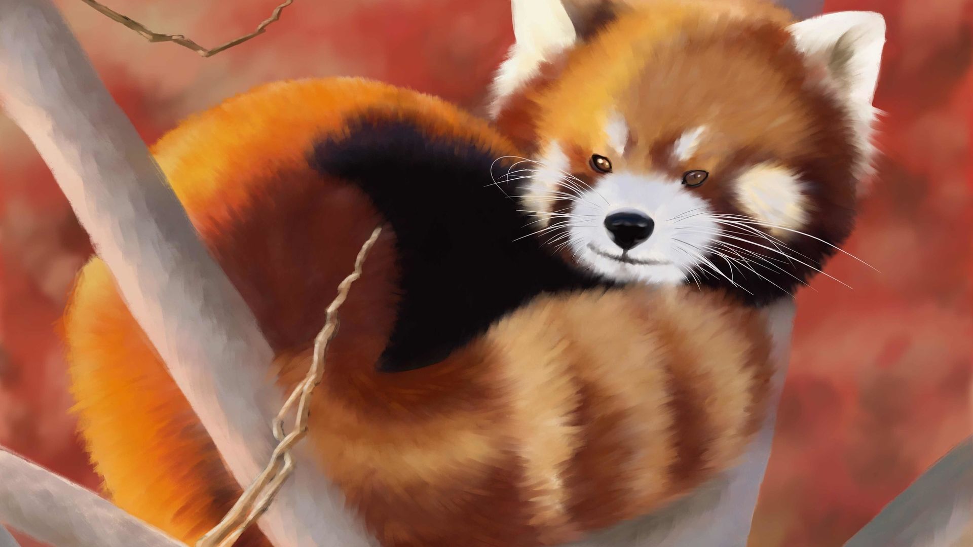 Desktop Wallpaper Red Panda, Animal, Art, HD Image, Picture, Background, Diqsag