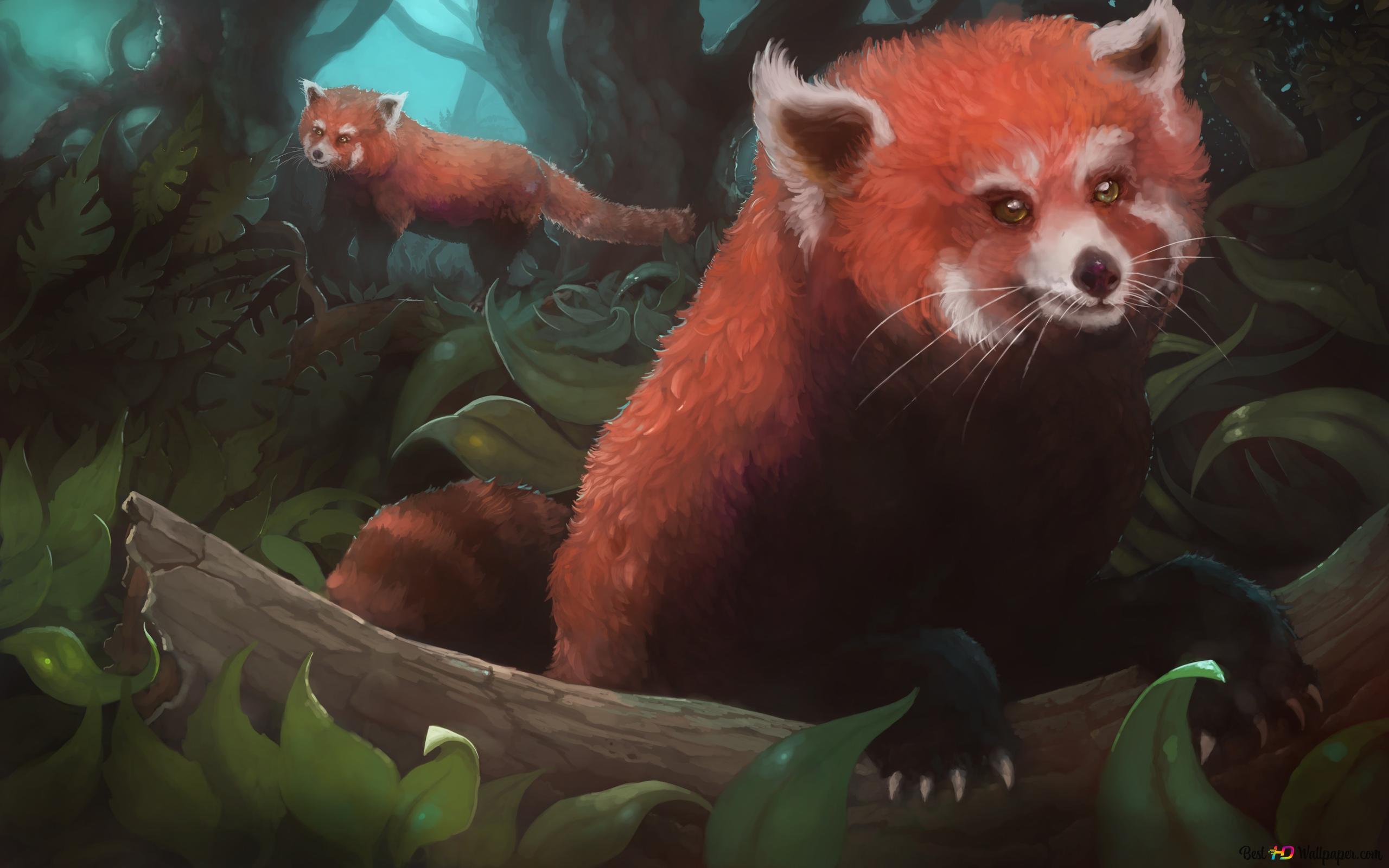 Red Pandas 2K wallpaper download