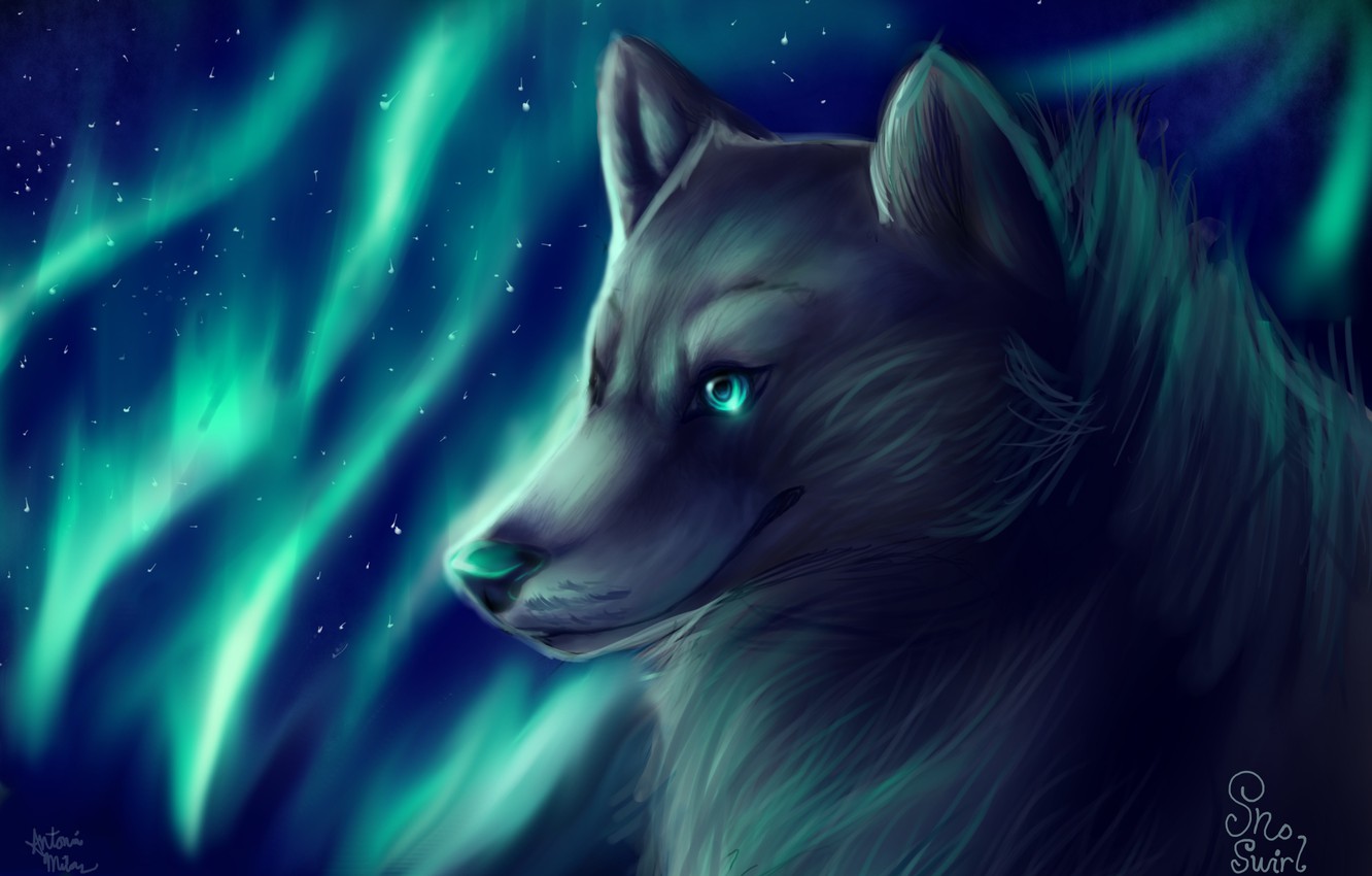 Wallpaper wolf, Northern lights, by SnoSwirl image for desktop, section живопись