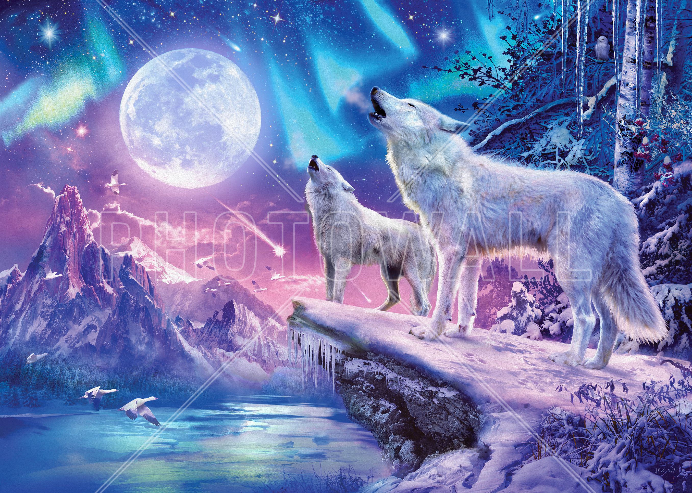 Aurora Borealis and Wolf Wallpaper Free Aurora Borealis and Wolf Background