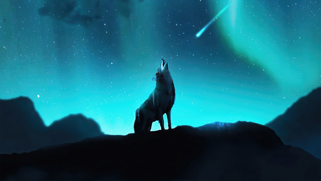 Fox howling night northern lights stars wallpaper background