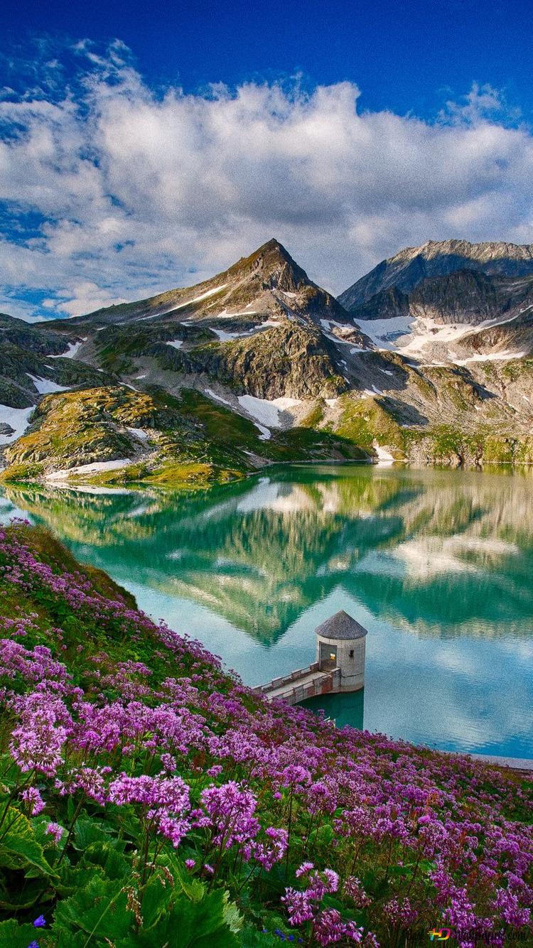 Reflection of pink flowers, snowy mountains and clouds in clear lake 2K wallpaper download
