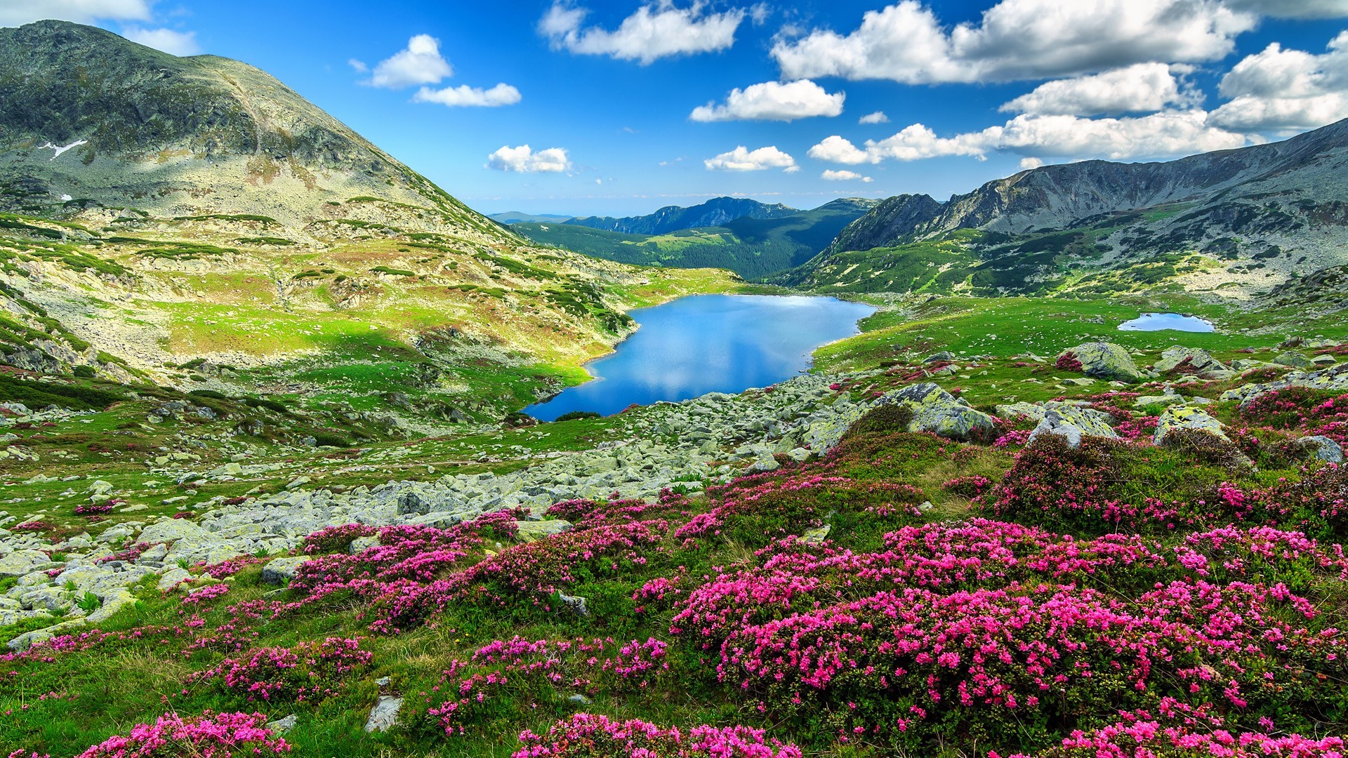 Wallpaper / nature, landscape, clouds, sky, pink flowers, rocks, mountains, lake, Rhododendron, Romania, Retezat National Park free download