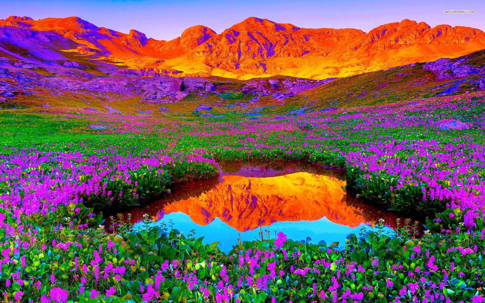 Red Mountains & Lilac Flowers wallpaper. Red Mountains & Lilac Flowers