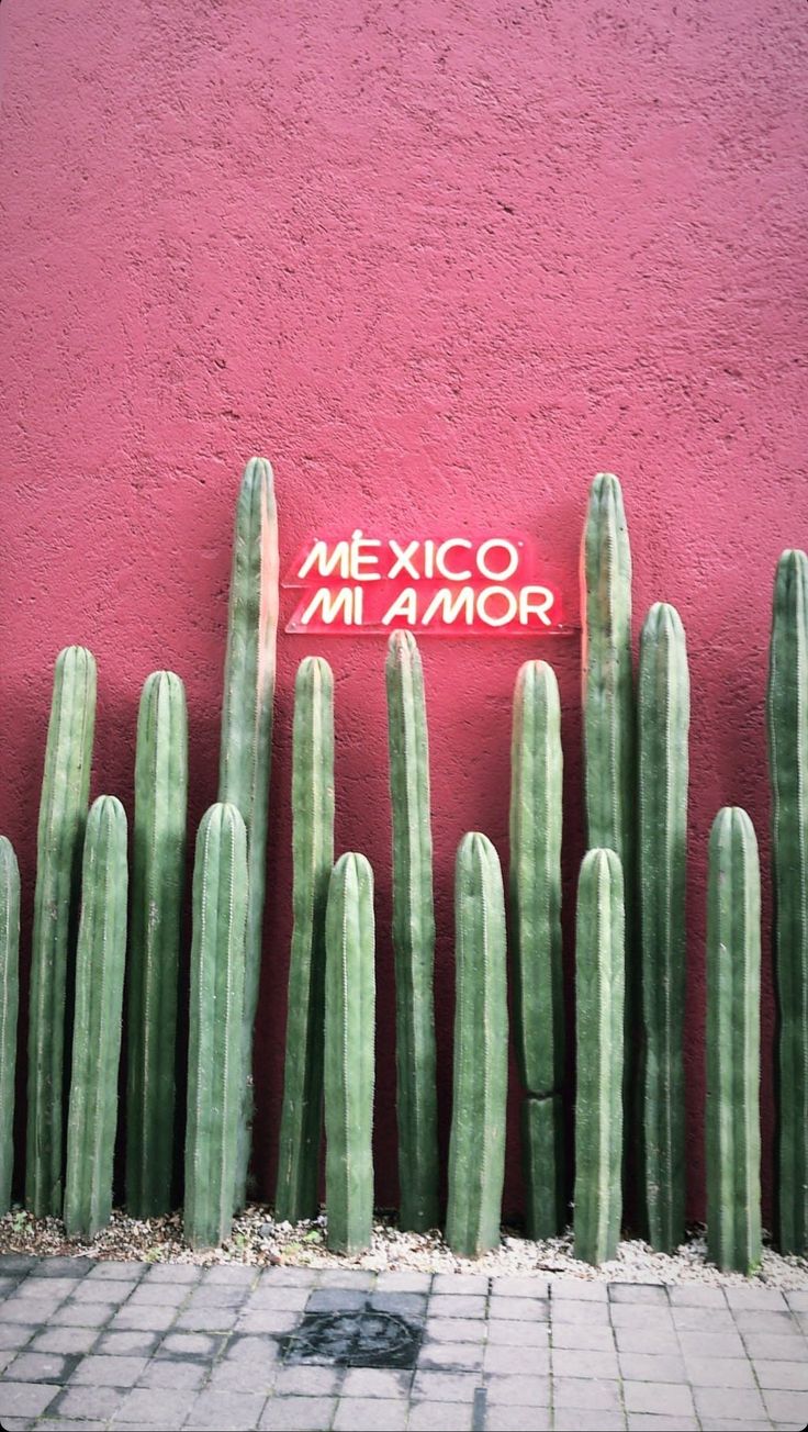 Mi Amor Wallpapers - Wallpaper Cave