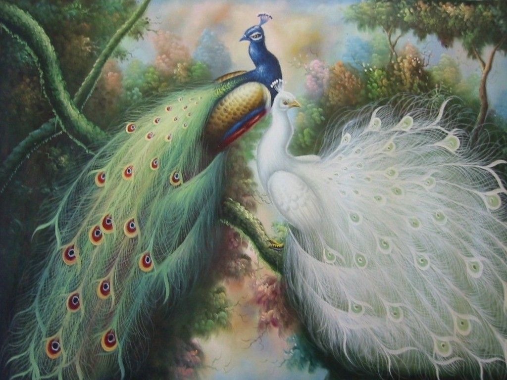 Image detail for -Free peacock oil painting Wallpaper The Free peacock oil. Peacock art, Peacock photo, Peacock wall art
