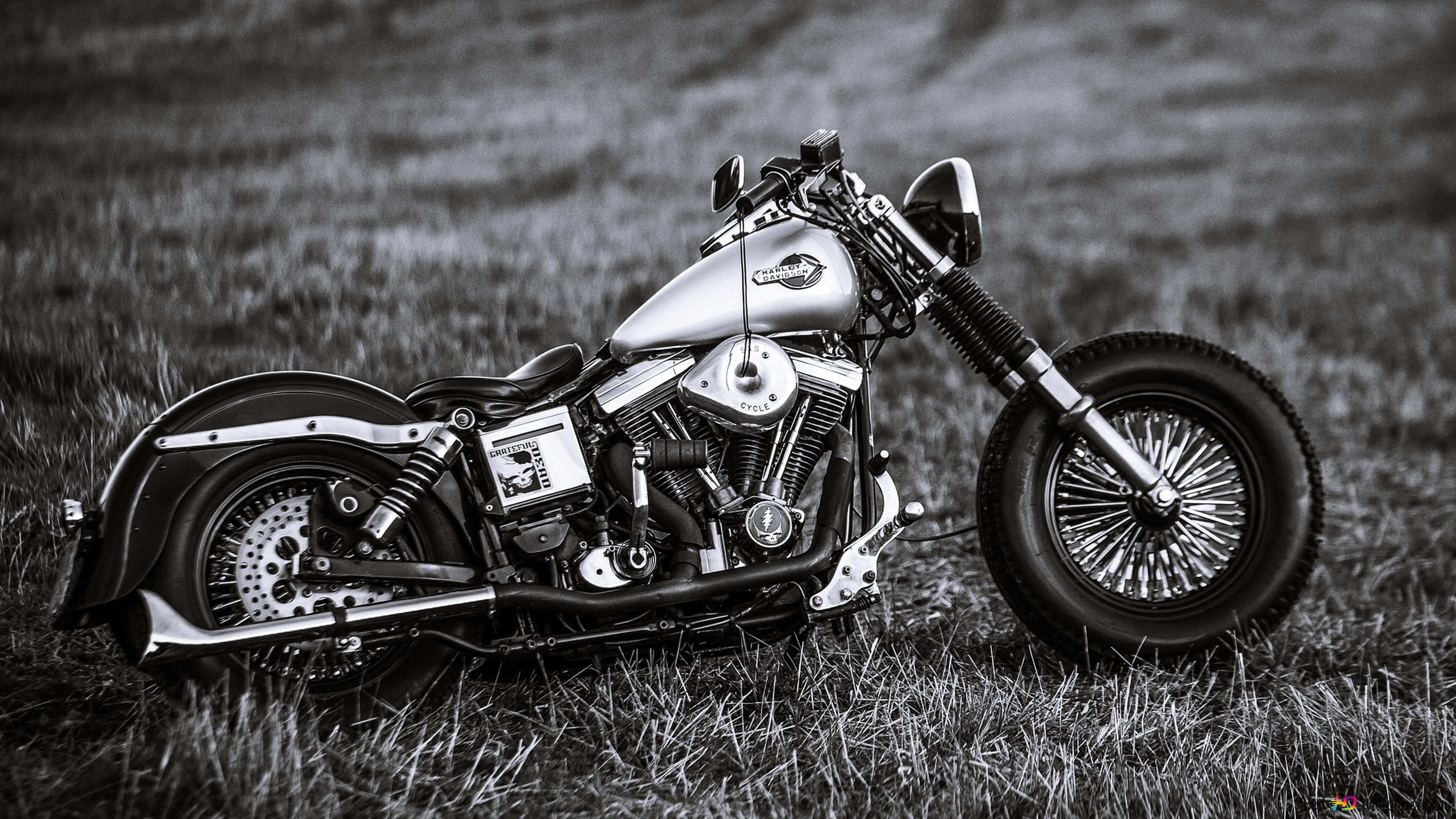 Harley Davidson Black and White Nostalgia 4K wallpaper download