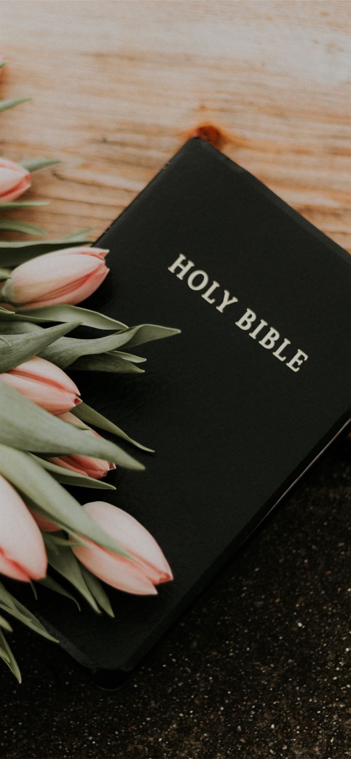 Holy Bible under pink tulips iPhone 12 Wallpaper Free Download