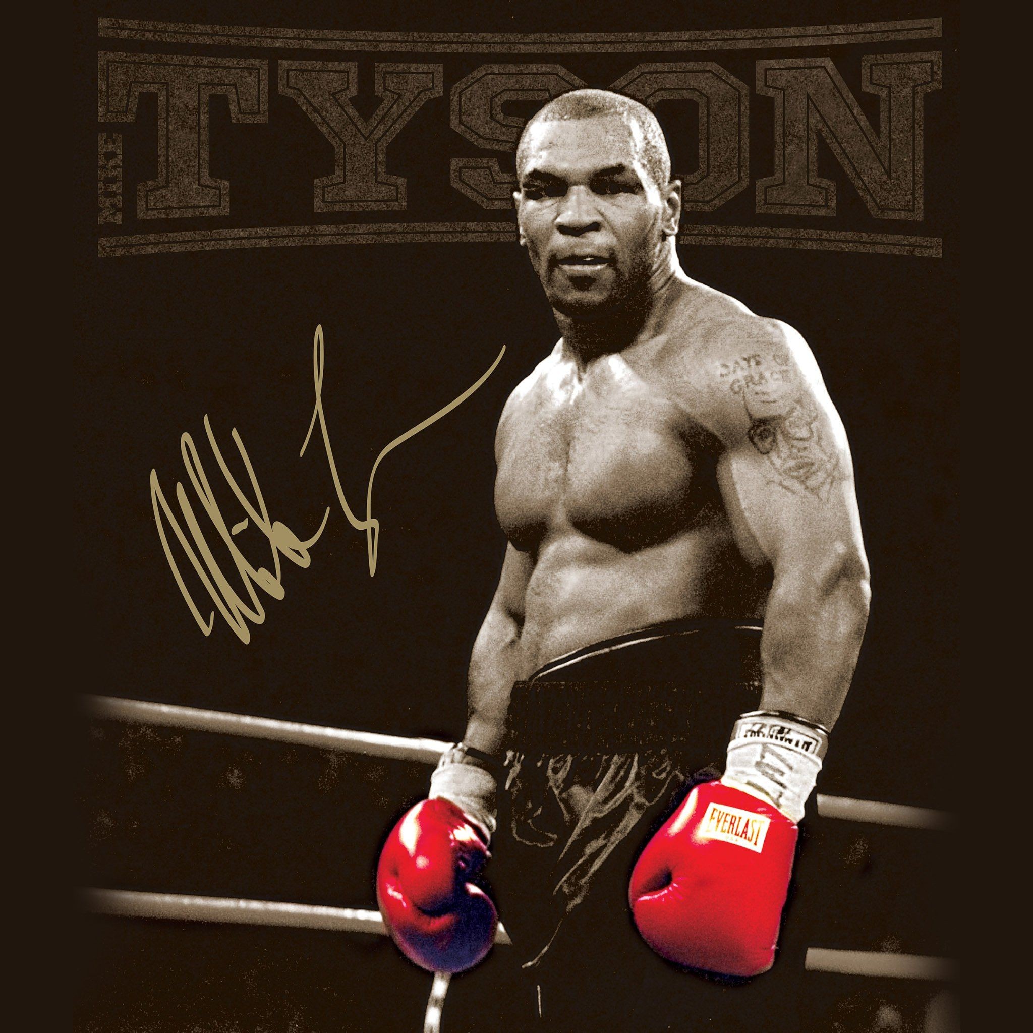 Mike Tyson 4k Wallpapers - Wallpaper Cave