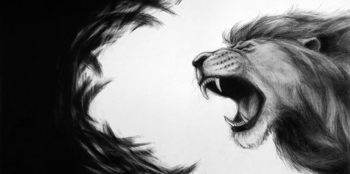 The Lion Of Judah Series