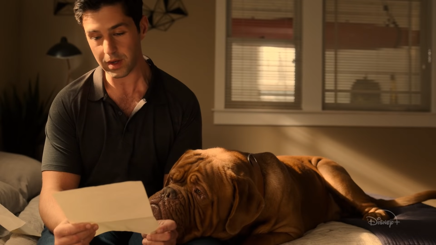 First for Disney+ Series Remake of TURNER & HOOCH Starring Josh Peck