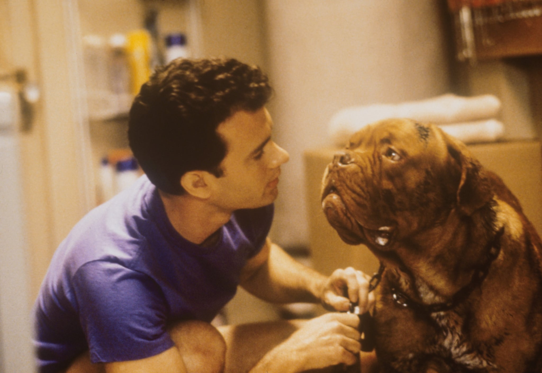 Turner & Hooch. Calling All Animal Lovers! These 21 Movies On Disney+ Are Perfect For You. POPSUGAR Pets Photo 19