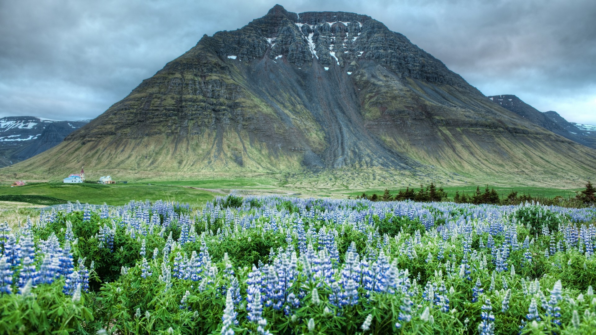 Wallpaper Valley of Flowers, 5k, 4k wallpaper, Himalayas, Mountains, meadows, wildflowers, Nature
