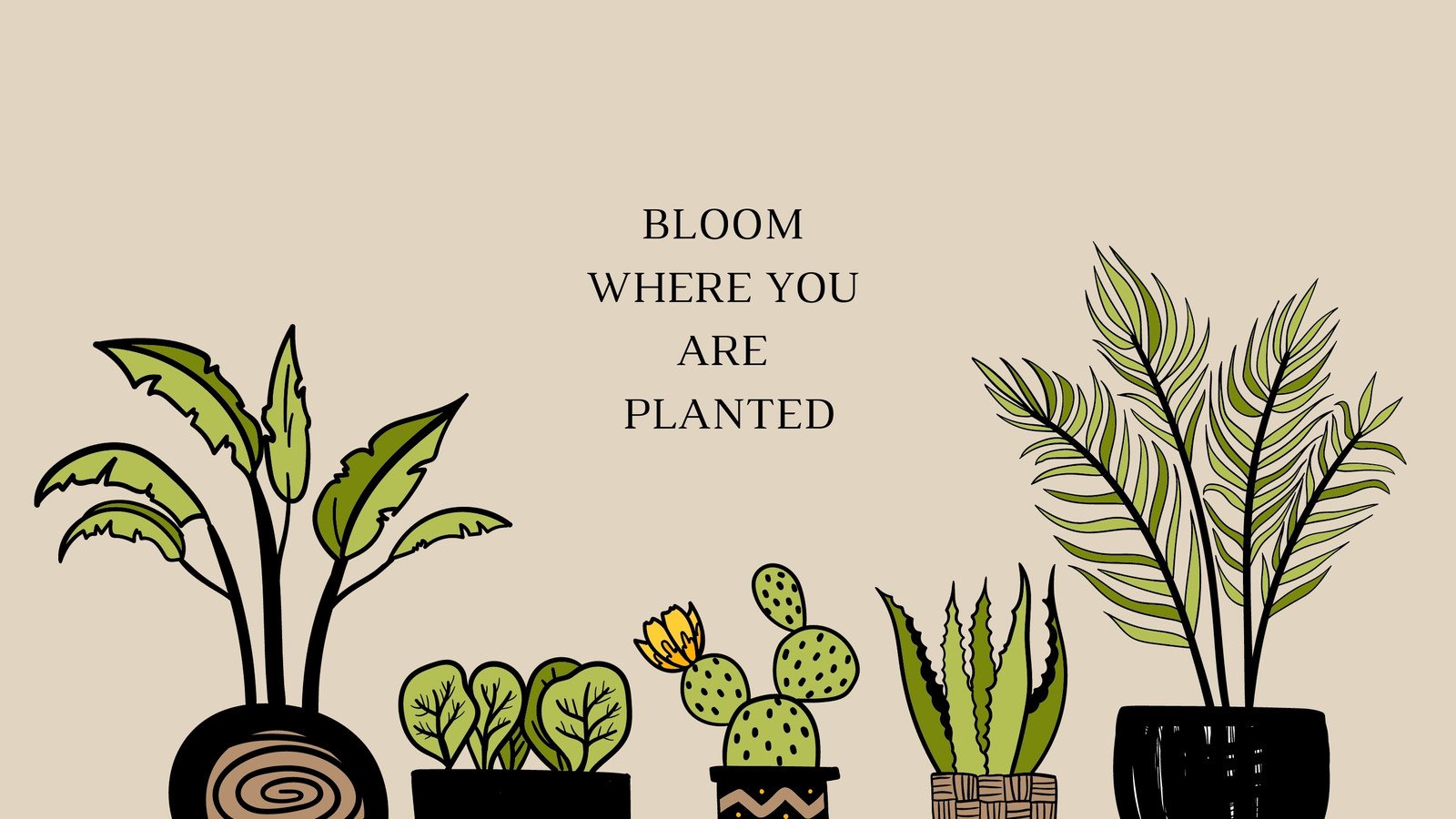 1500 Plant Wallpaper Pictures  Download Free Images on Unsplash