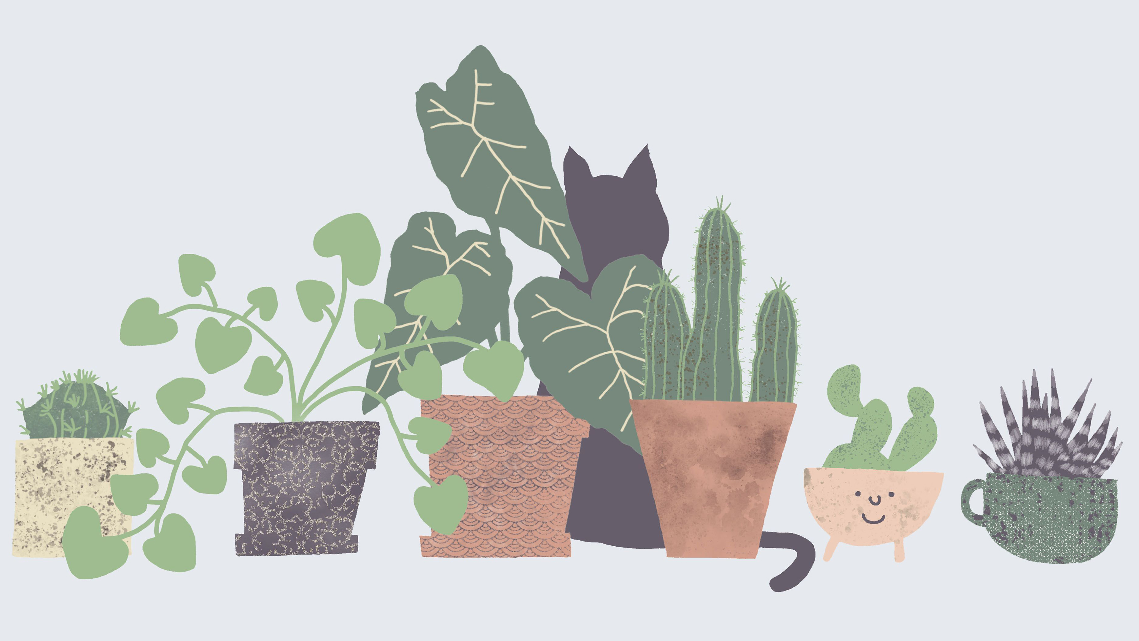 Free download Cute Plant Wallpaper HD
