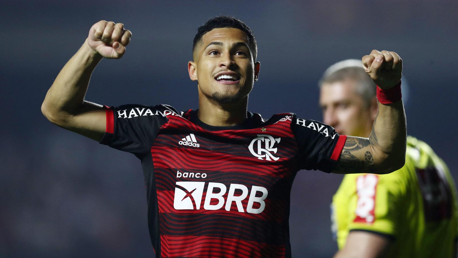 Wolves announce signing of Joao Gomes as Julen Lopetegui bolsters squad ahead of relegation battle