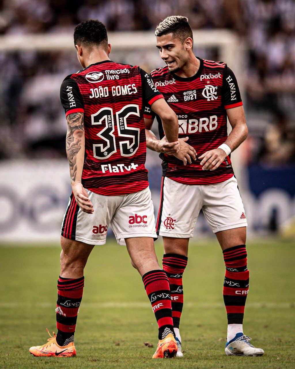 تويتر \ João Gomes على تويتر