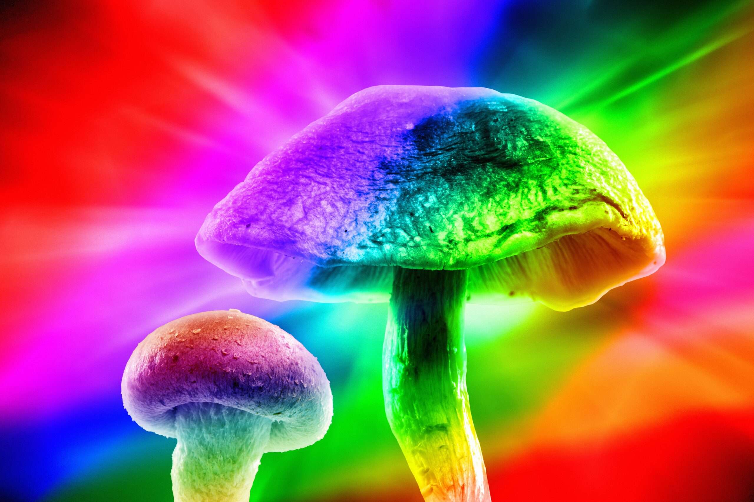 California Bill Could Herald Collapse of Psychedelic Prohibition