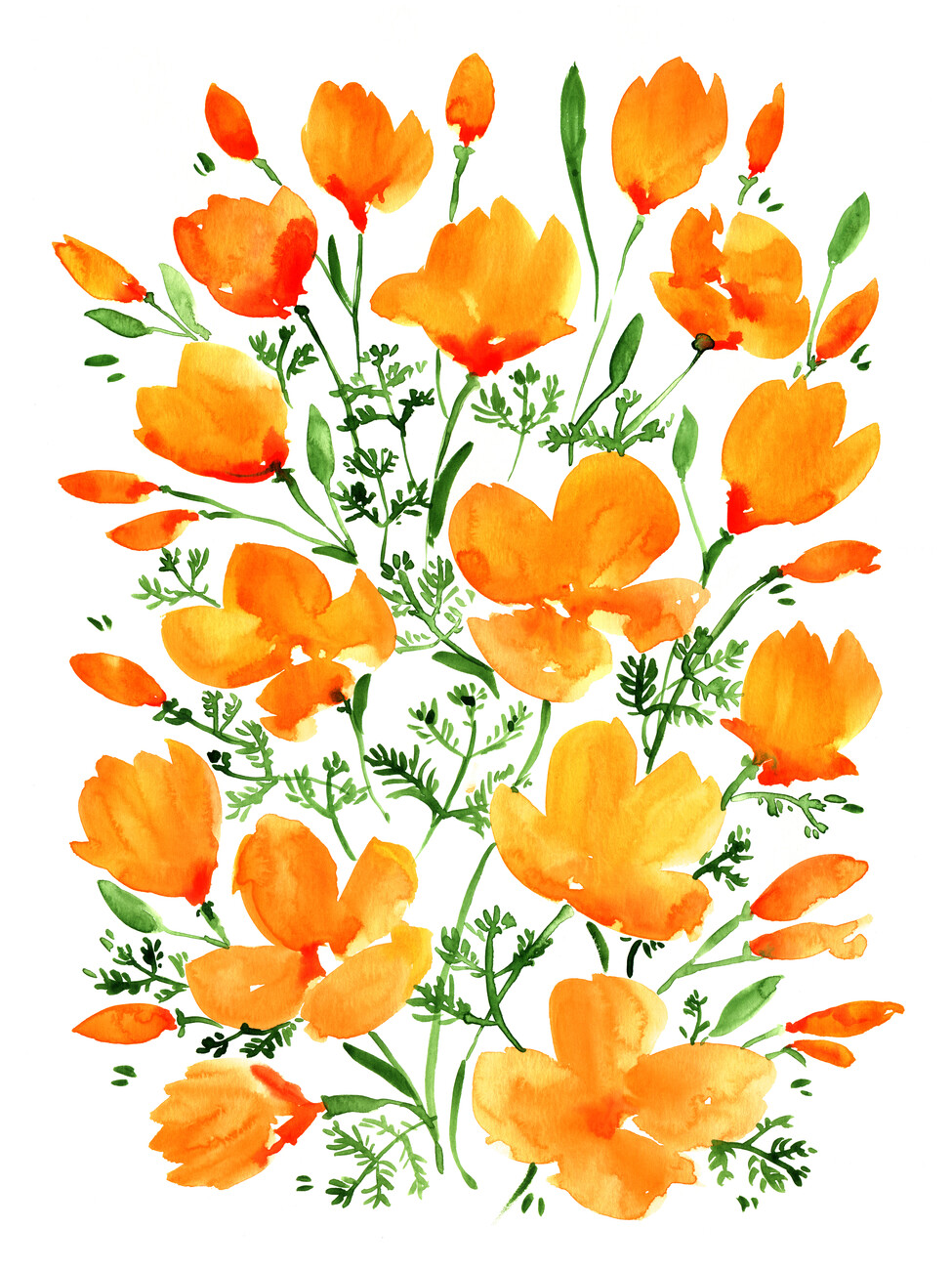 Watercolor California poppies Wall Mural