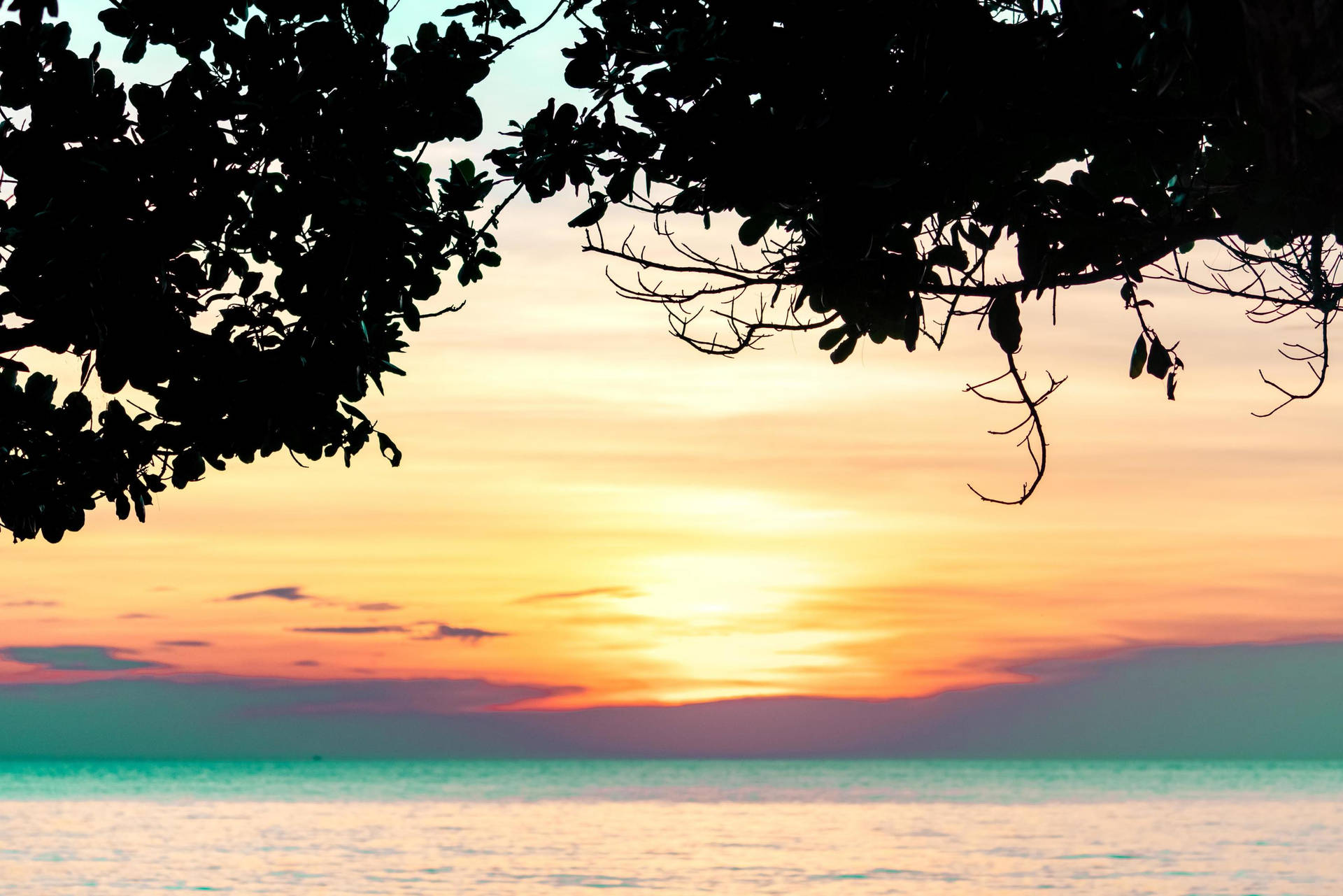 Download Summer Vibes Sunset Wallpaper