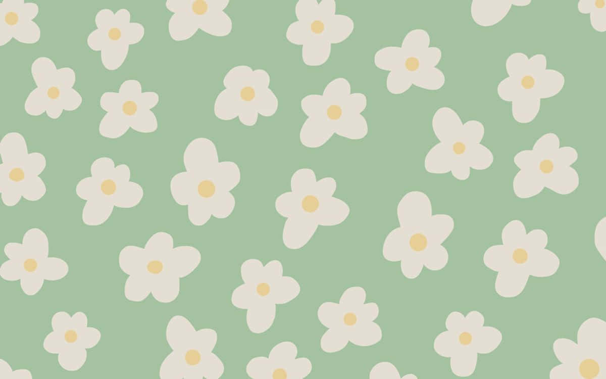Update more than 53 aesthetic green daisy wallpaper latest  incdgdbentre