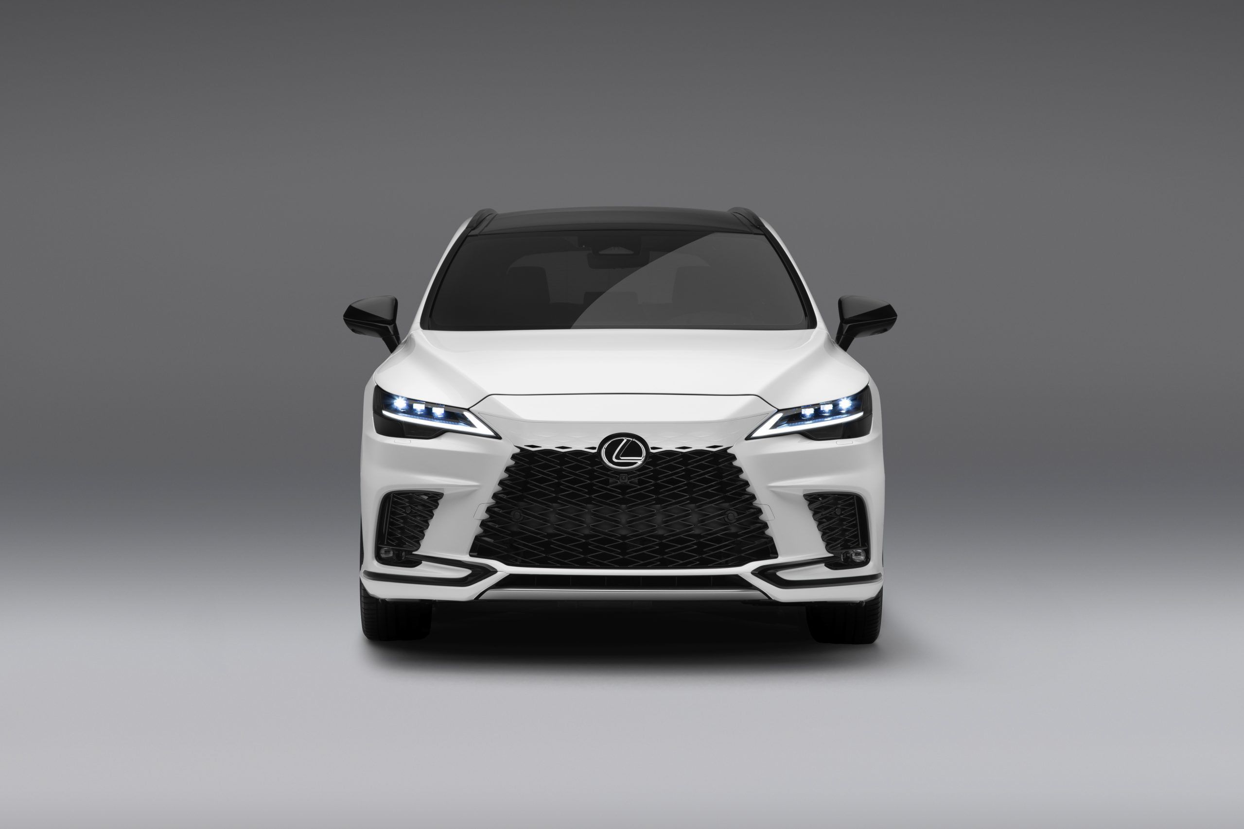 View Photo of the 2023 Lexus RX
