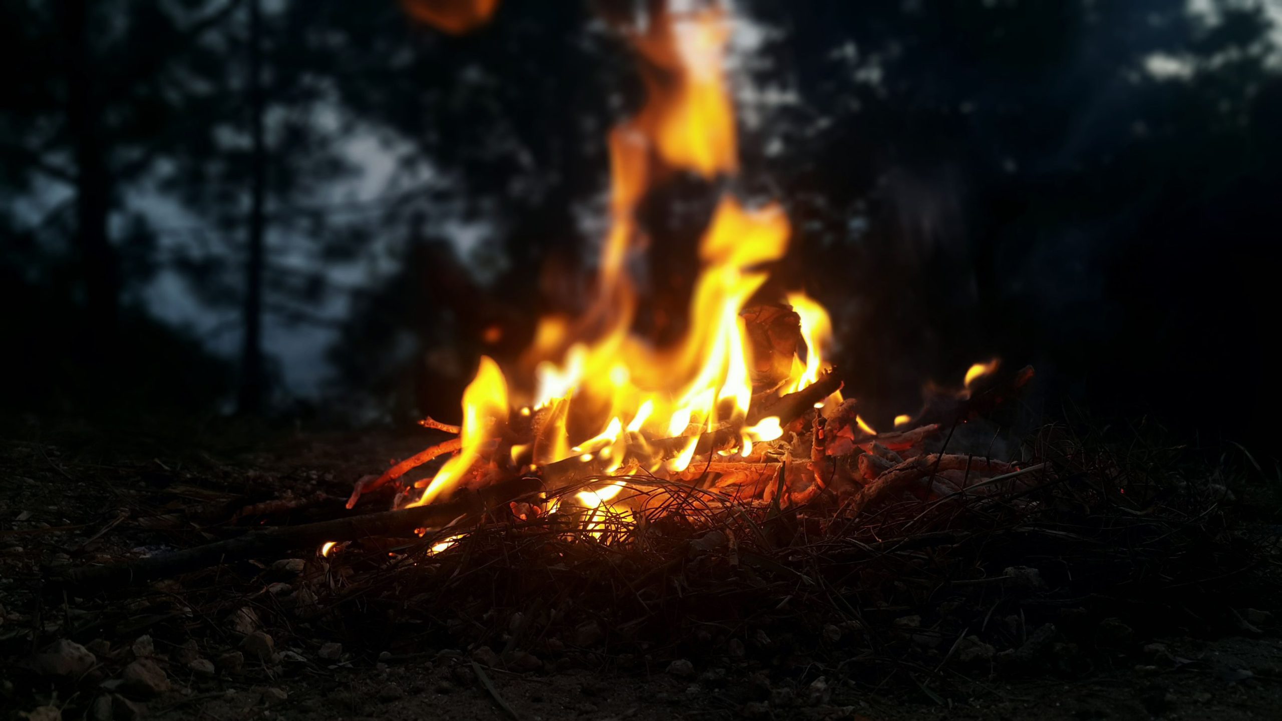 Huntsville cautions against campfires in spring Muskoka Now