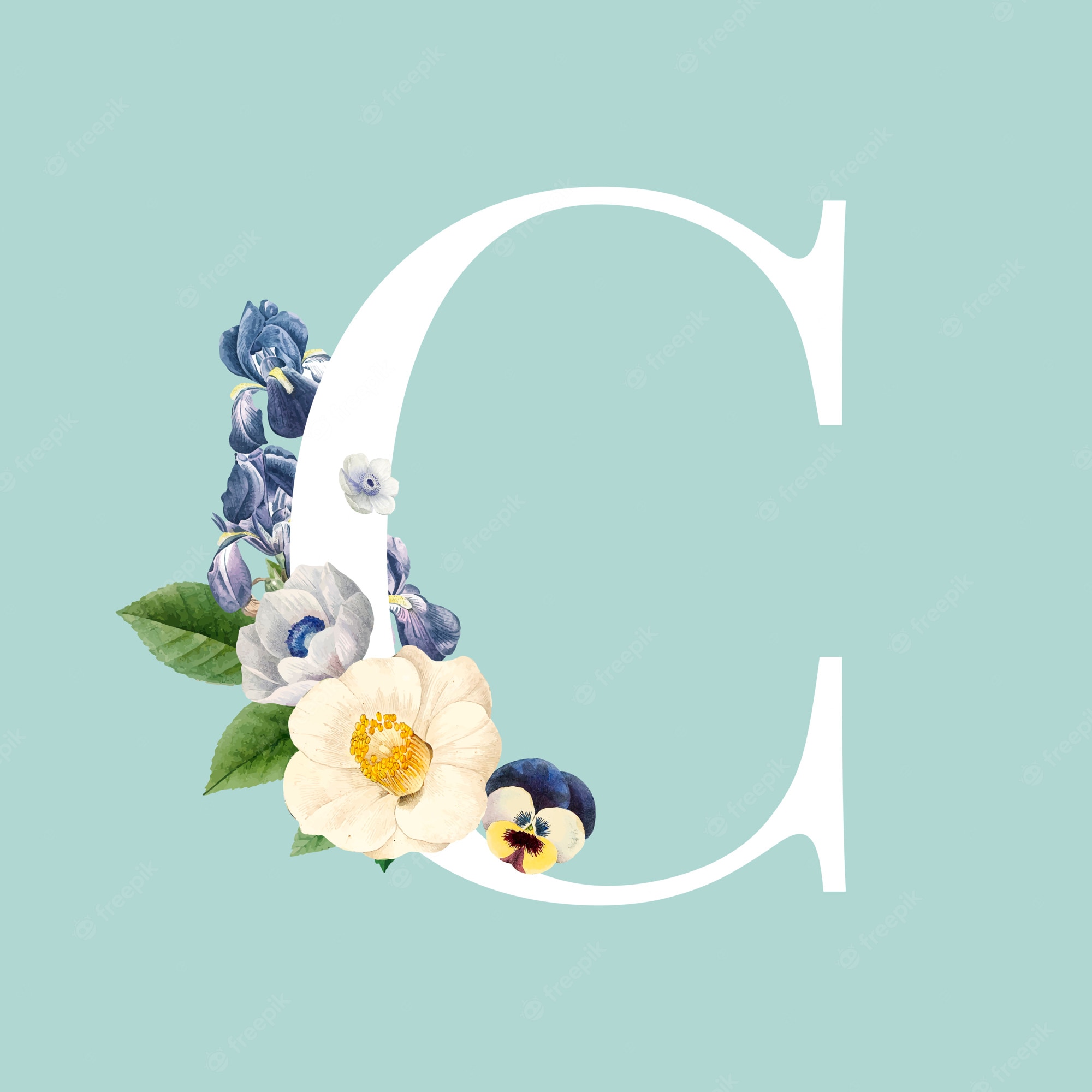 Letter C Image