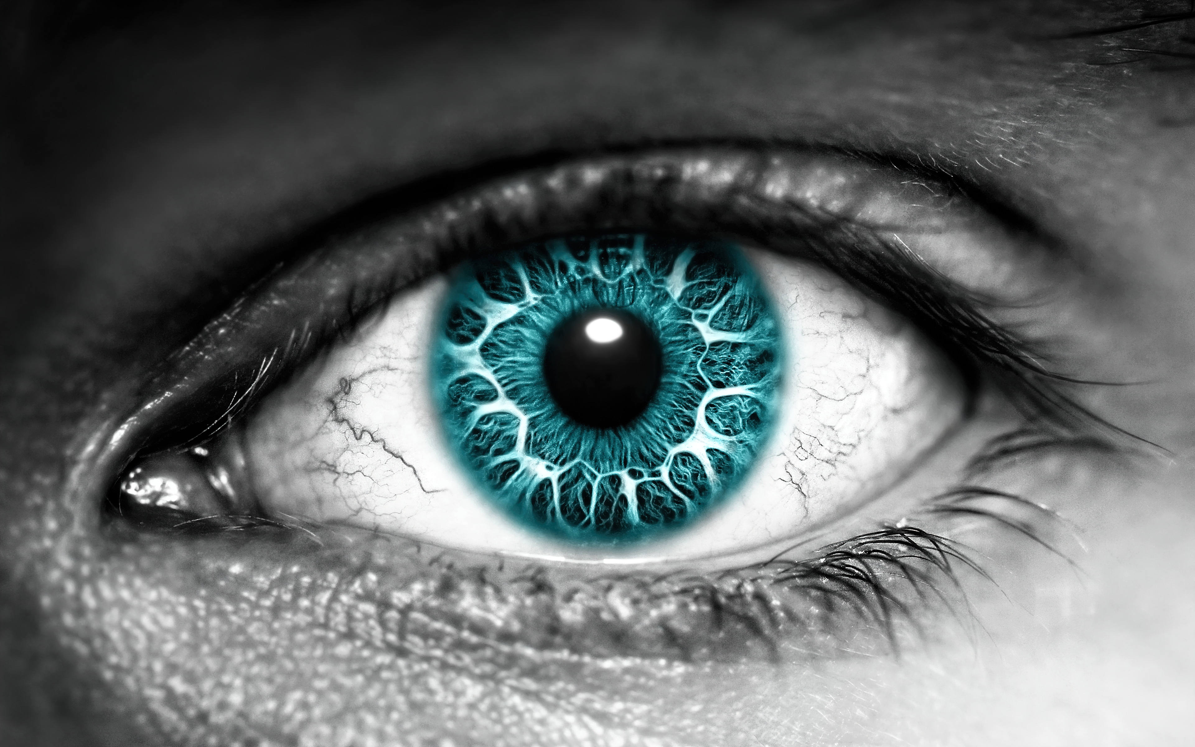 Eye Wallpaper 4K, Iris, Blue eyes, Photography