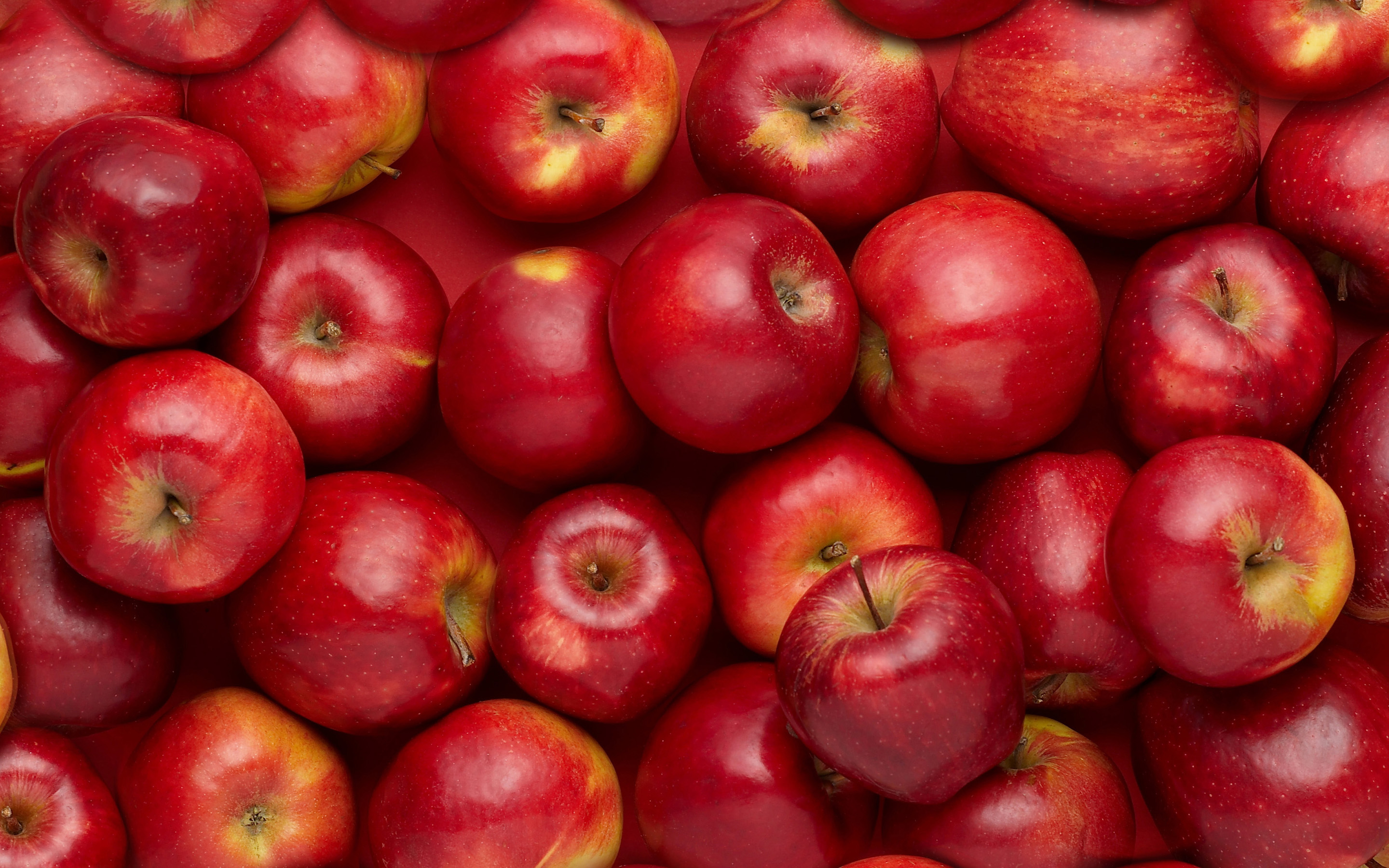 Free download Red Apple Fruit Wallpaper Food apple wallpaper [2880x1800] for your Desktop, Mobile & Tablet. Explore Red Apple Wallpaper. Apple Background, Background Red, Red Apple Wallpaper