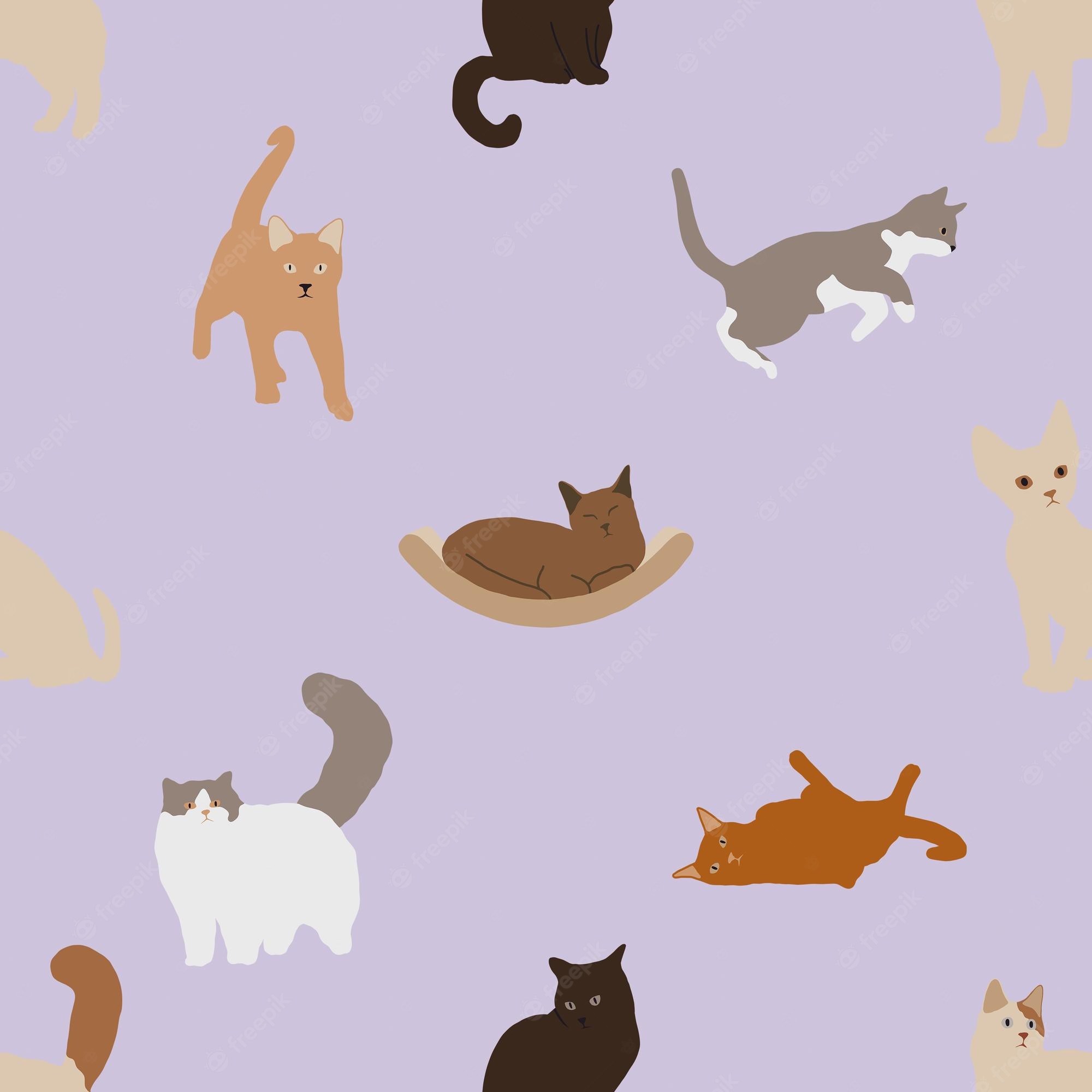 Purple Cat Wallpaper Image