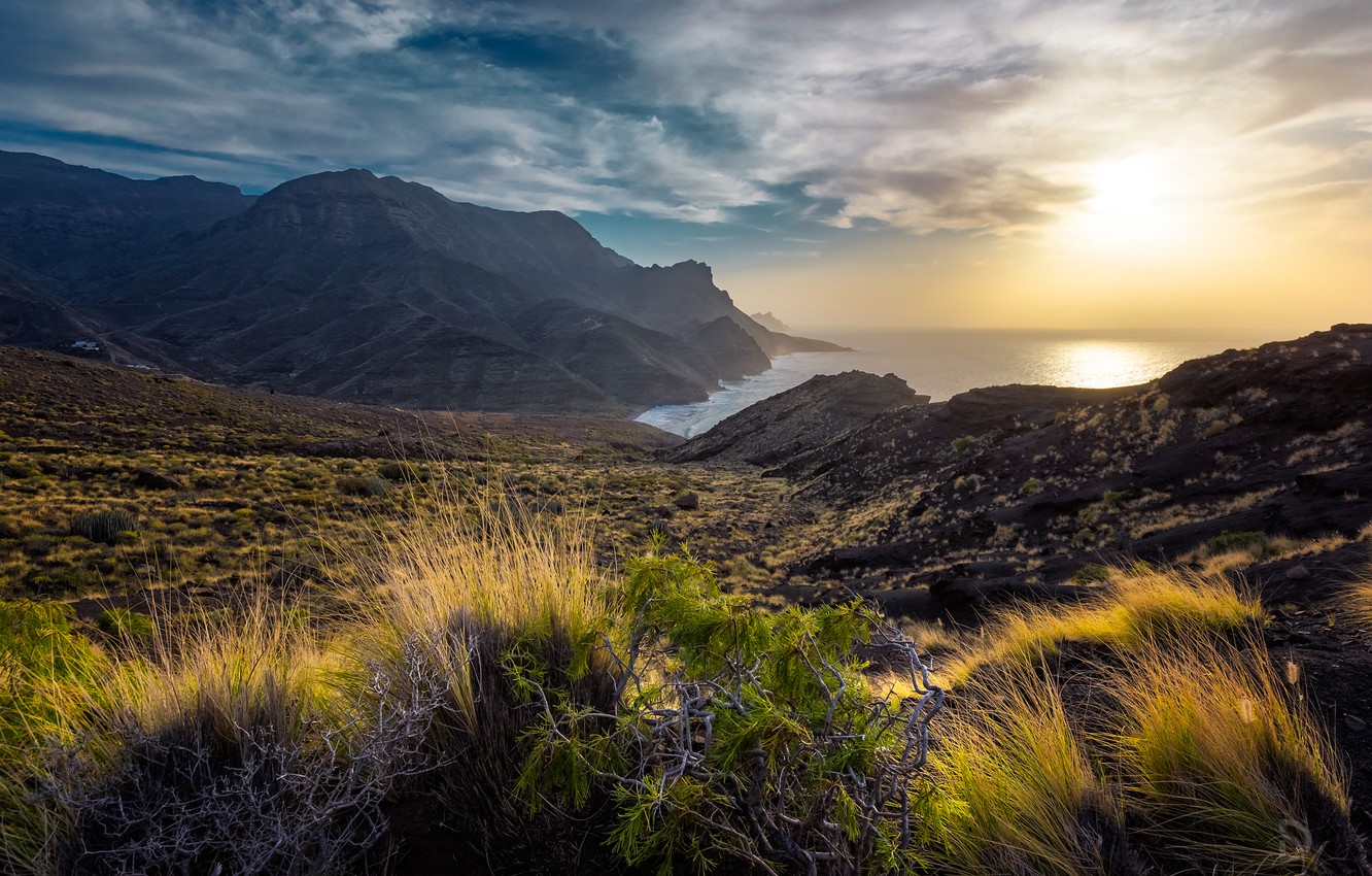 Wallpaper grass, landscape, sunset, mountains, nature, the ocean, coast, island, Spain, Canary Islands, The Canary Islands, Gran Canaria image for desktop, section пейзажи