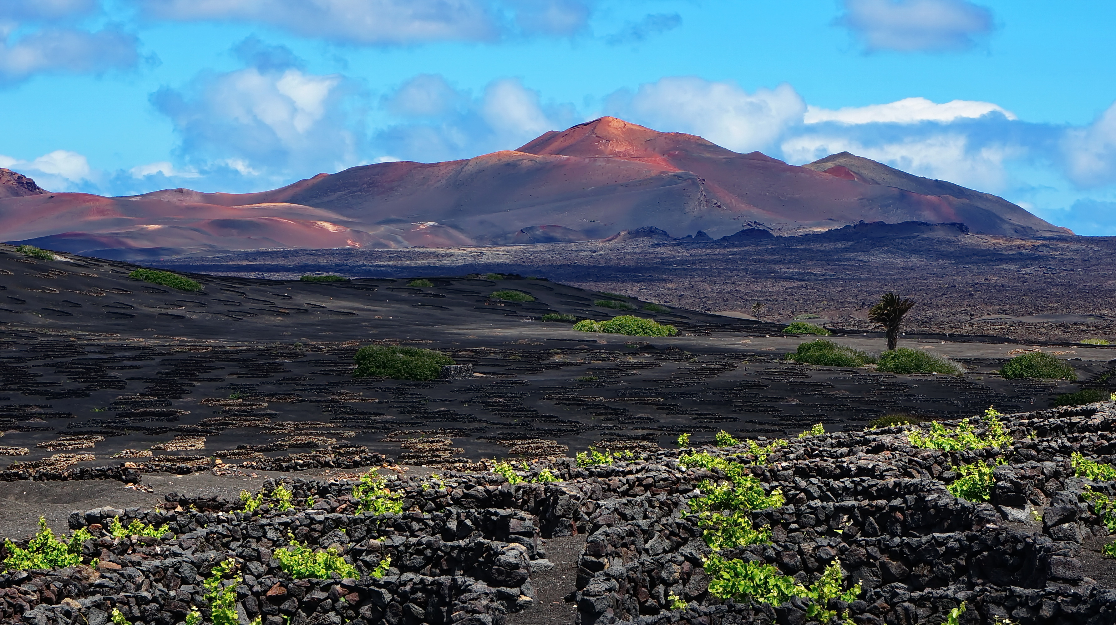 Wallpaper, vilcan, wine, Spain, Lanzarote, canary, island, kanaren, vilkan, wein, landschaft, inseln, spanien, reise 3568x2000