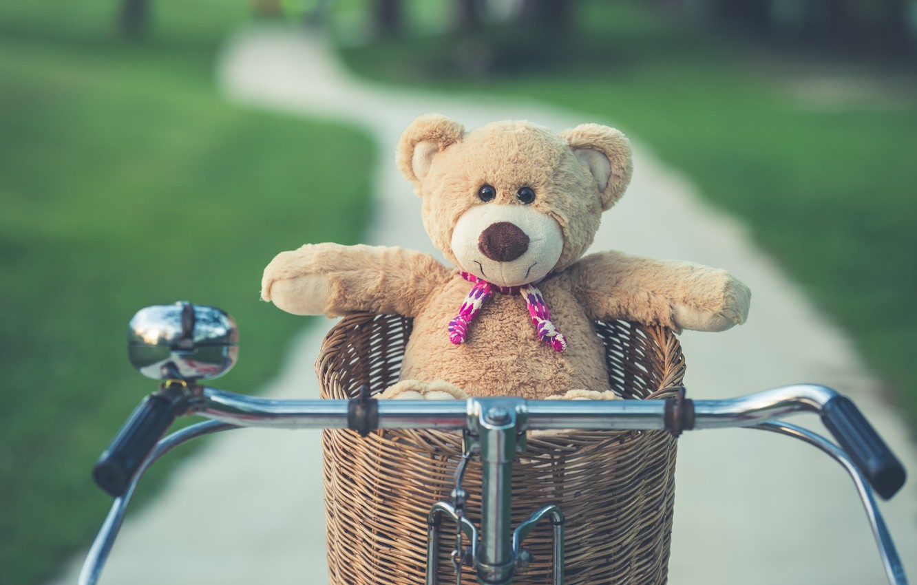Wallpaper summer, bike, basket, toy, bear, bear, summer, vintage, bear, bike, retro, teddy, lonely, cute, lonely image for desktop, section настроения