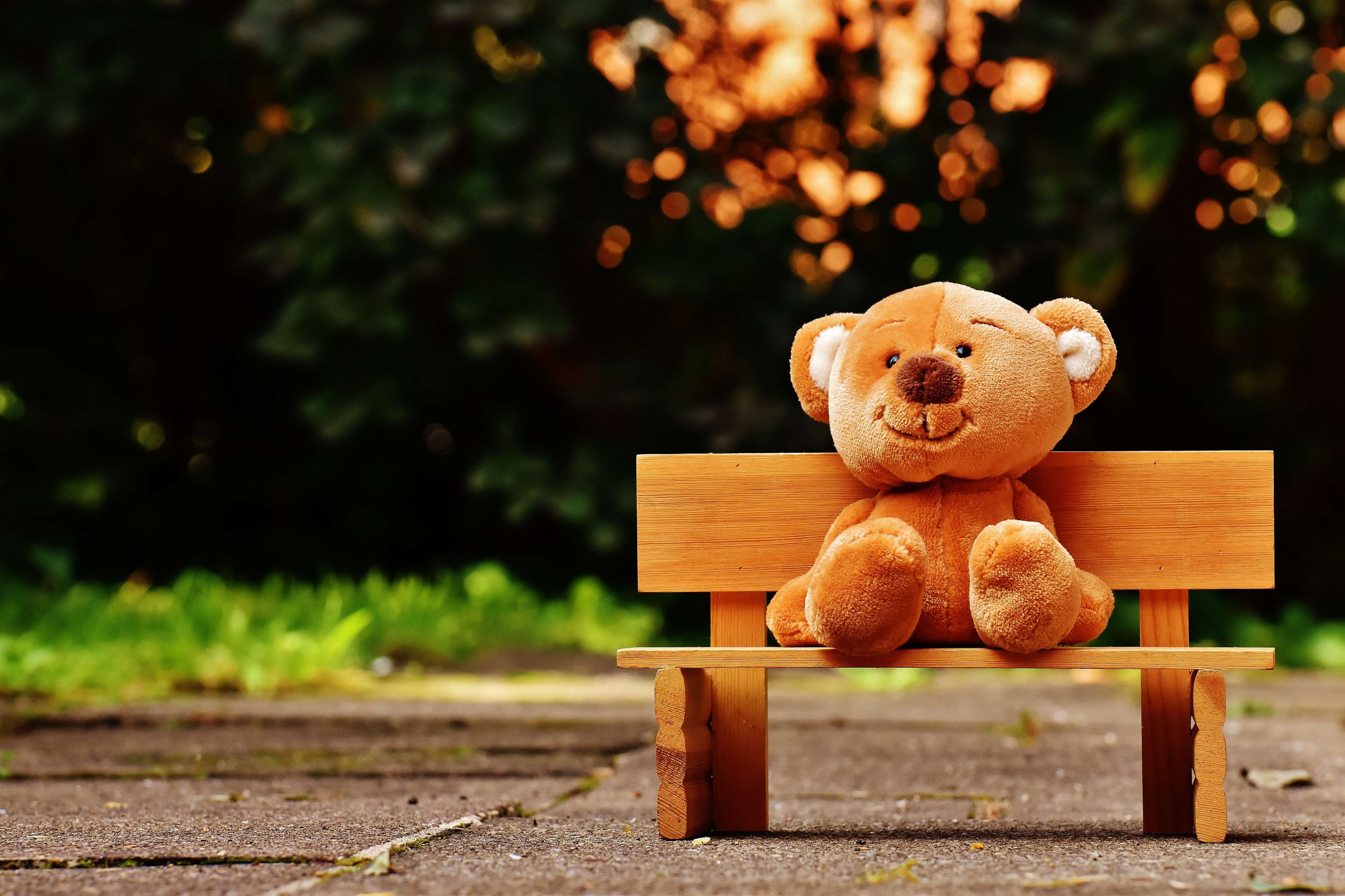 bear, bench, child, children toys, color, cute, sit, soft toy, summer, teddy, teddy bear, toy, tree, wood, wooden, wooden bench 4k Gallery HD Wallpaper