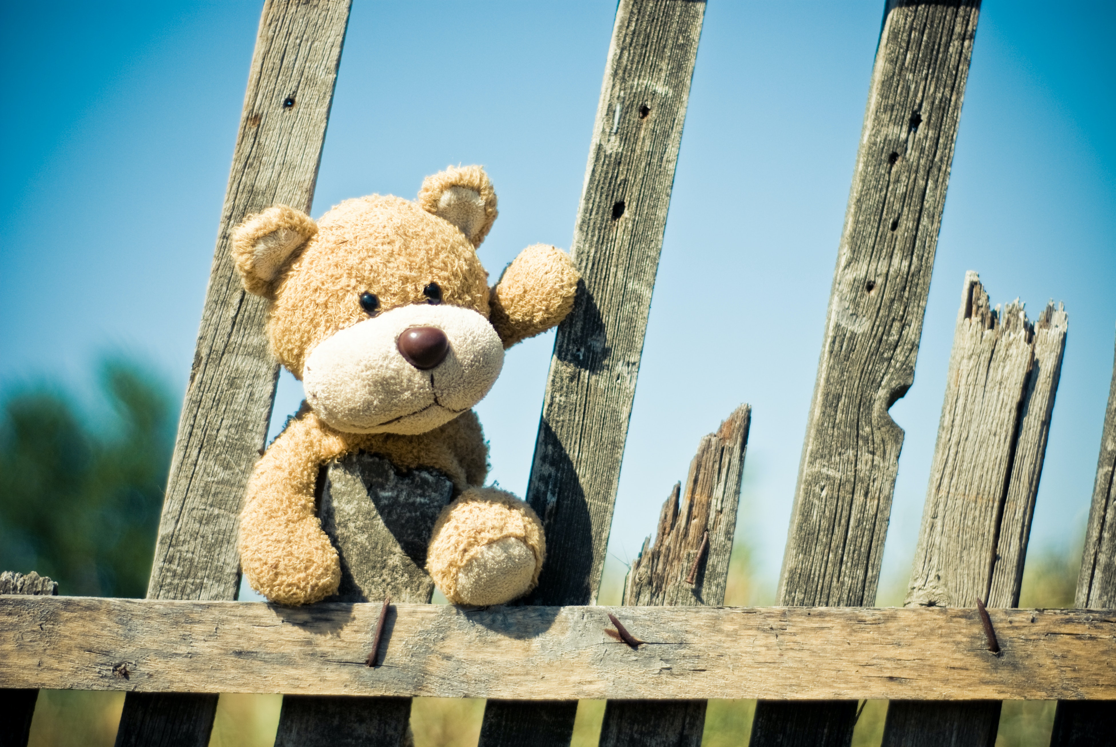 Brown Teddy Bear on Brown Wooden Bench Outside · Free