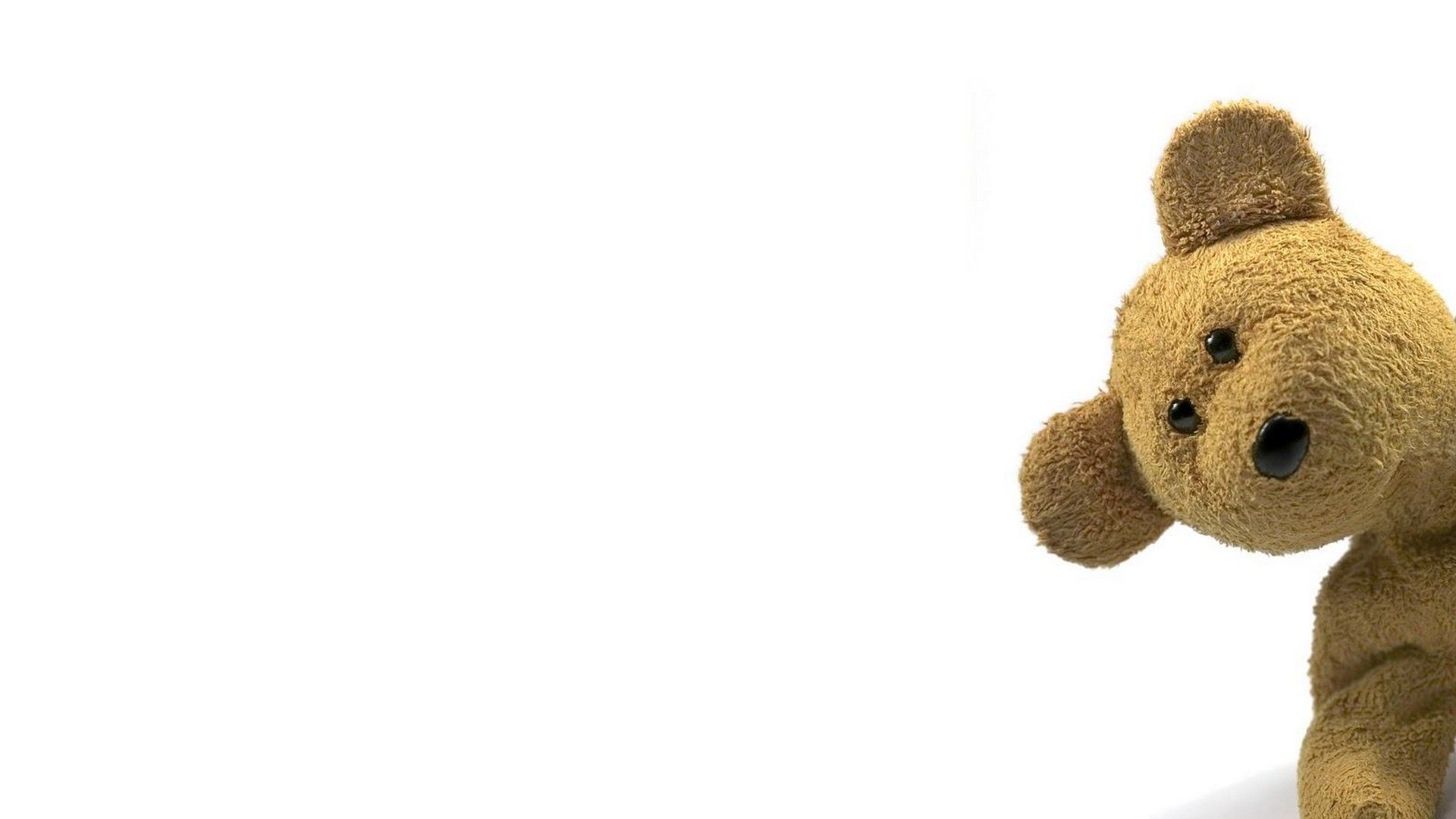 Big Teddy Bear Background Wallpaper HD Wallpaper HD. Cute teddy bear pics, Teddy bear wallpaper, Big teddy bear