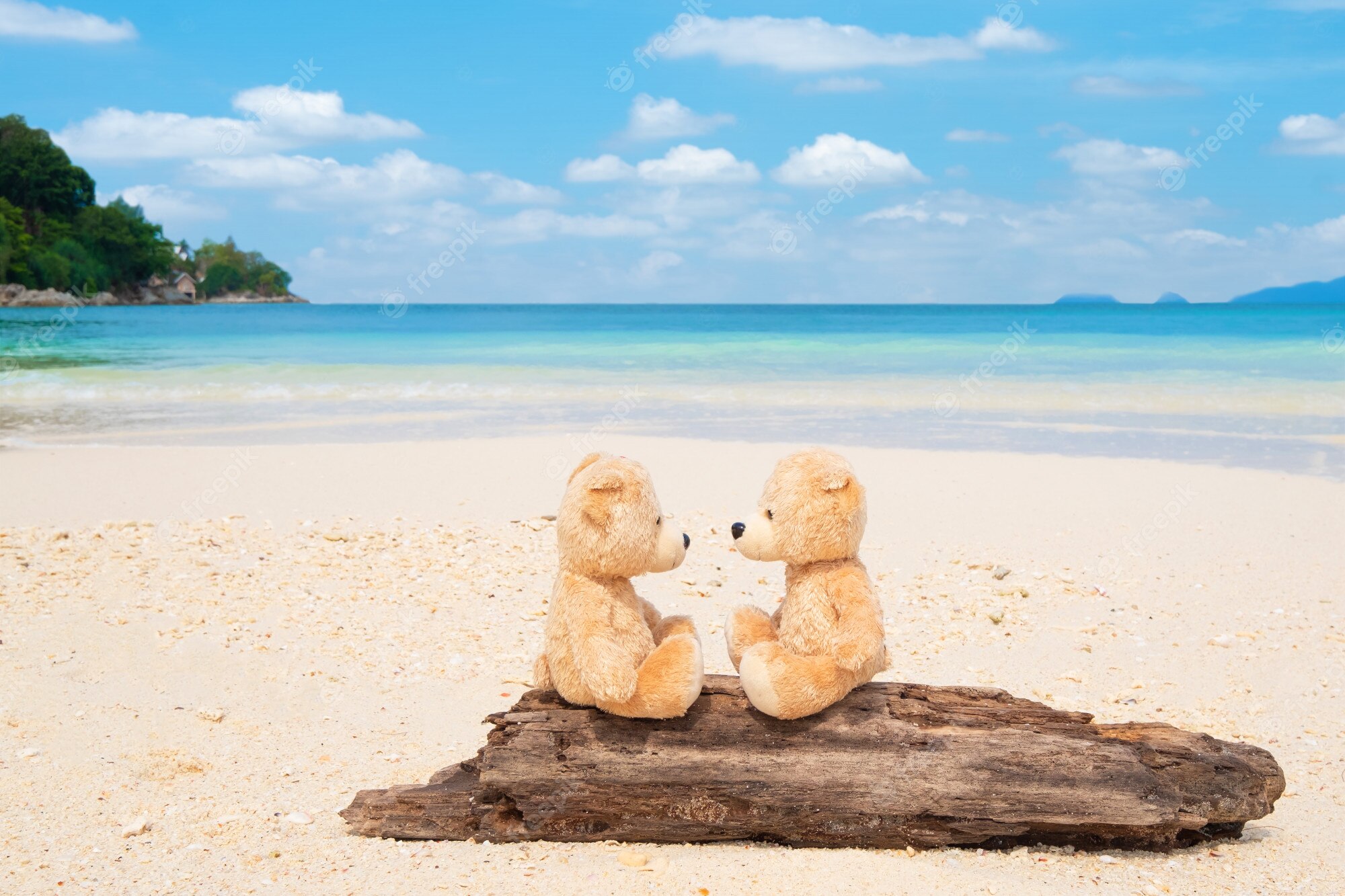Premium Photo. Two teddy bears sitting on the timber with sea view