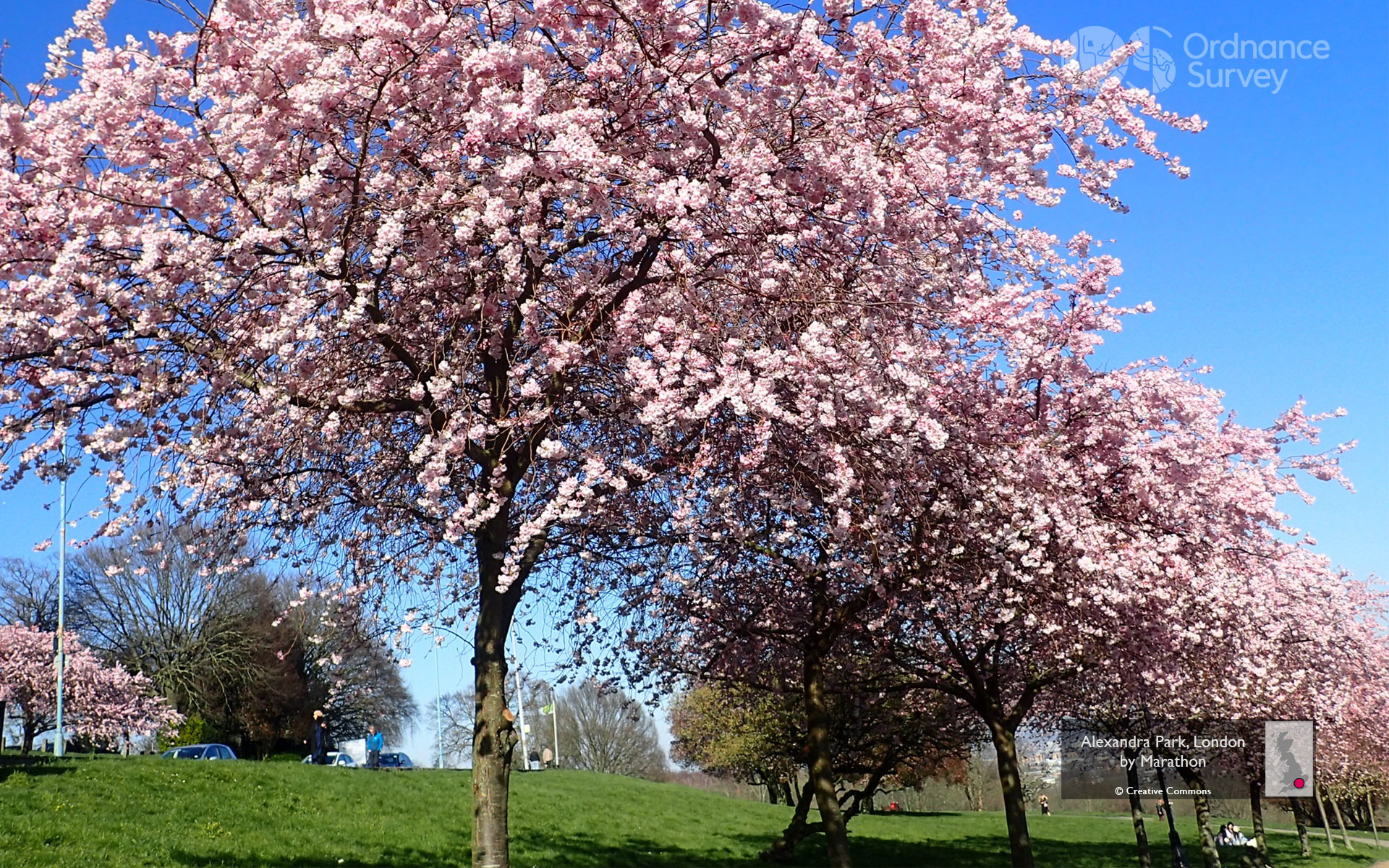 OS Wallpaper Download: March 2023 at Alexandra Park, London