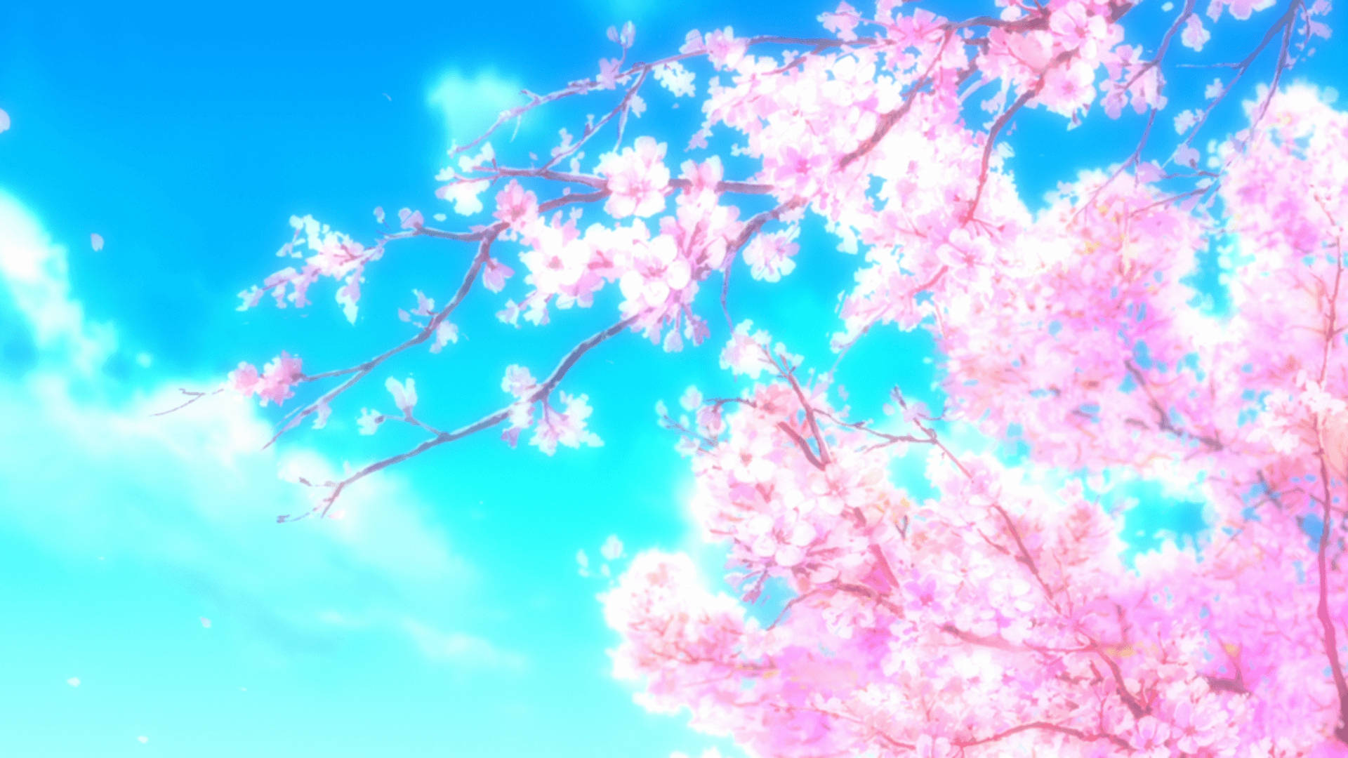 Download Anime Spring Aesthetic Wallpaper