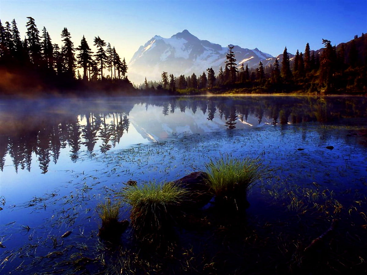 Background Mt. Baker Snoqualmie National Forest, Summer, Nature. TOP Free Picture