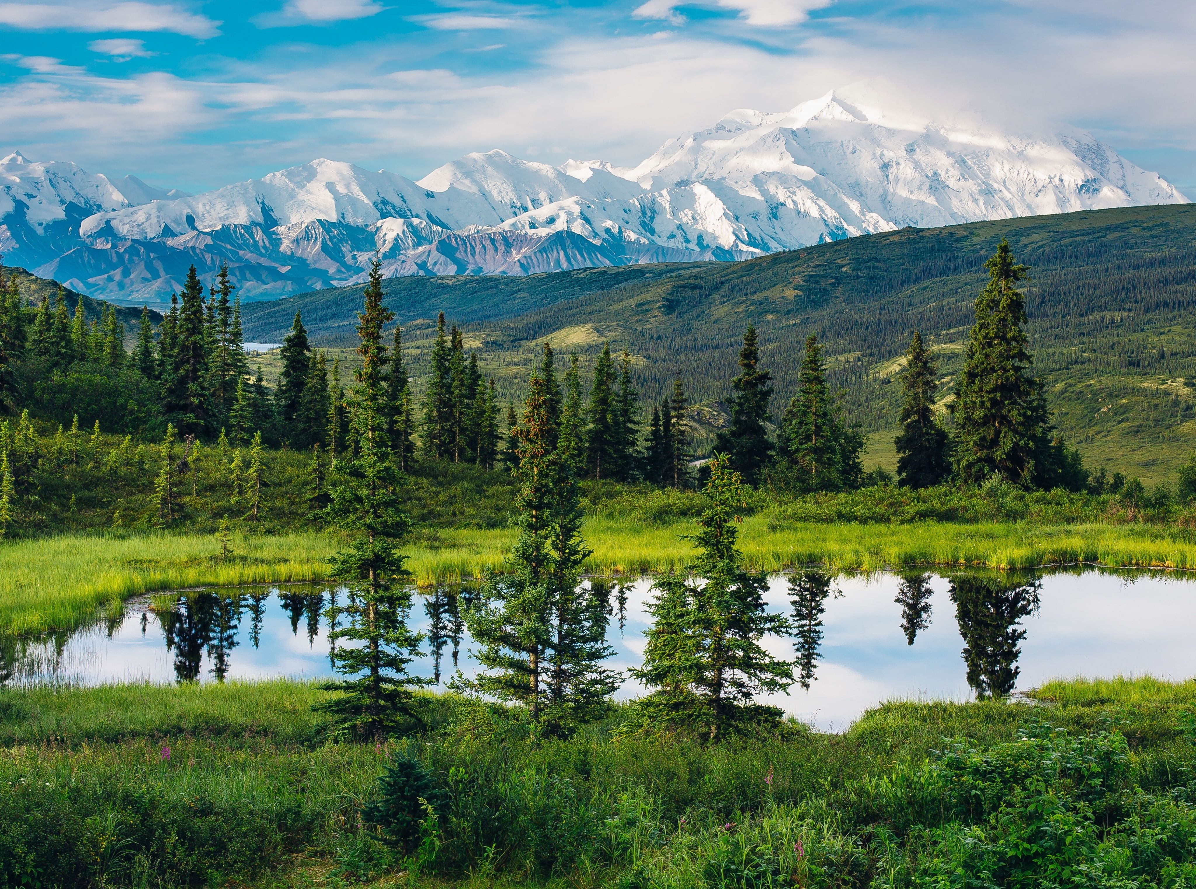 Alaska Range, Beautiful Mountain Landscape, green pine trees #Nature # Landscape #Mount #Travel #N. Landscape wallpaper, Nature desktop wallpaper, Nature wallpaper