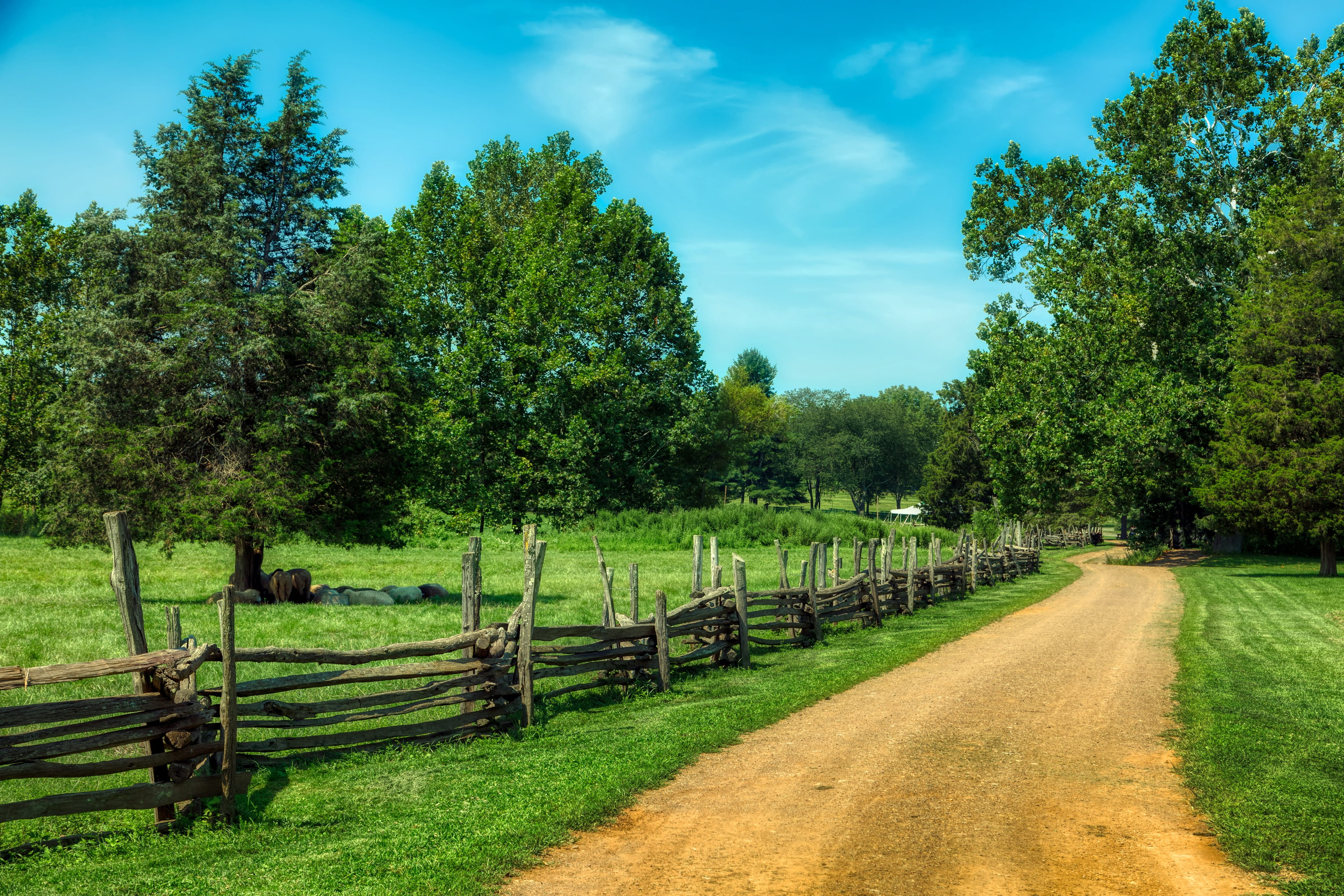 Wallpaper / forest, landscape, tree, scenics, woods, new jersey, hdr, fence, clouds, wood fence, grass, barrier, 4K, farm, field, beauty in nature, countryside free download